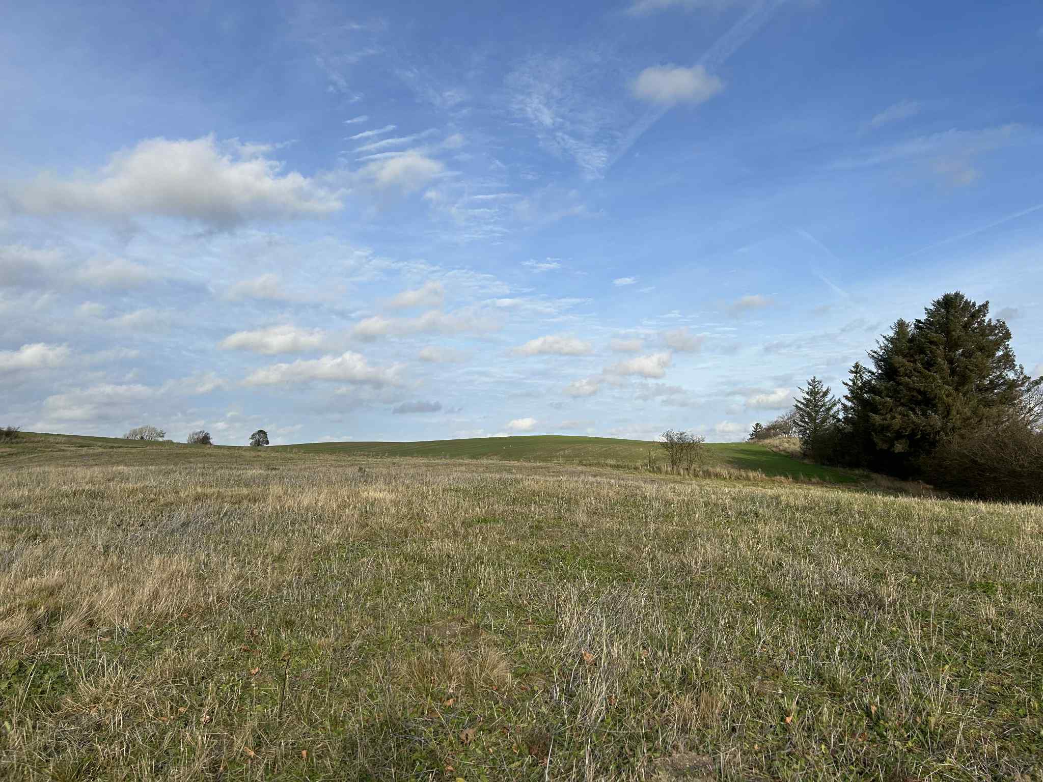 Miniaturebillede 1: . Billede af Lendumvej 529, Lendum, 9870 Sindal