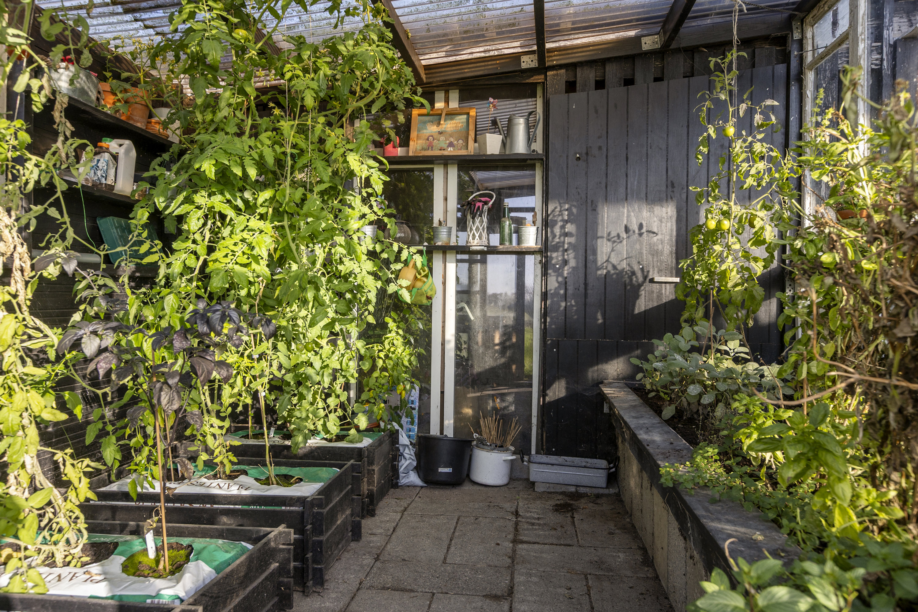 Fremhævet have billede i fuldskærmstilstand. Billede af Balstrupvej 114, Balstrup, 4100 Ringsted