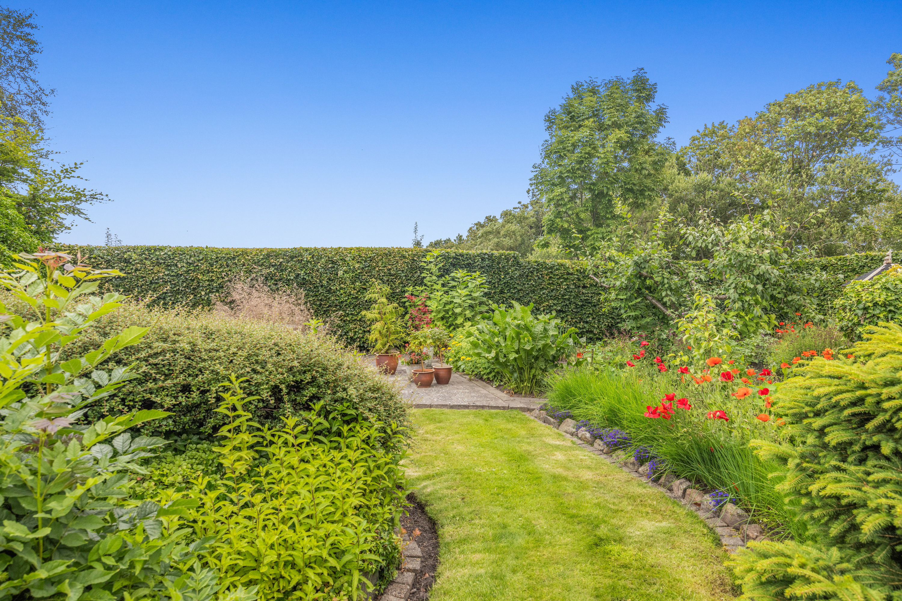 Fremhævet  billede i fuldskærmstilstand. Billede af Vejlen 88, Vejlen, 9430 Vadum