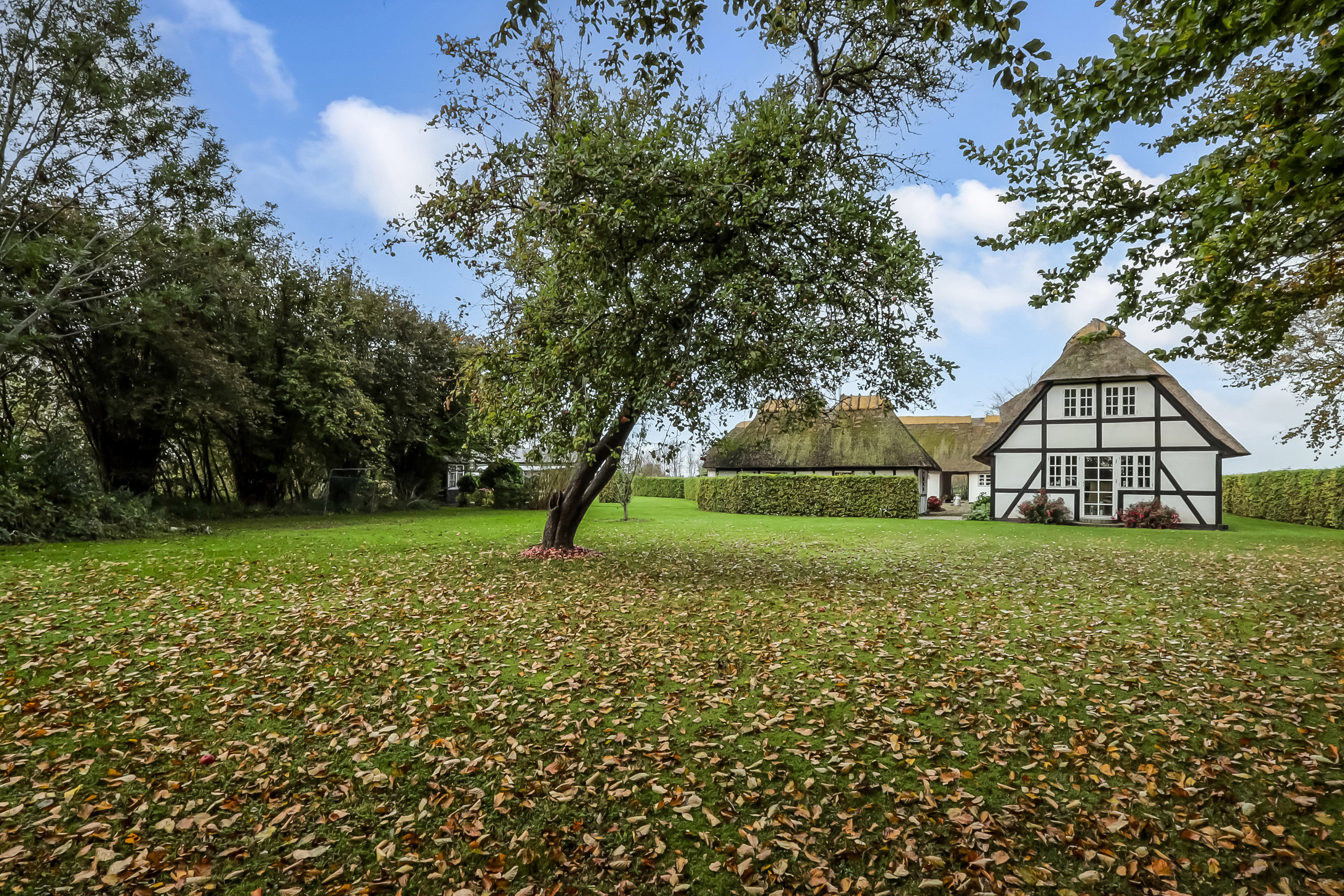 Fremhævet have billede i fuldskærmstilstand. Billede af Udflyttervej 9, Tåsinge, 5700 Svendborg
