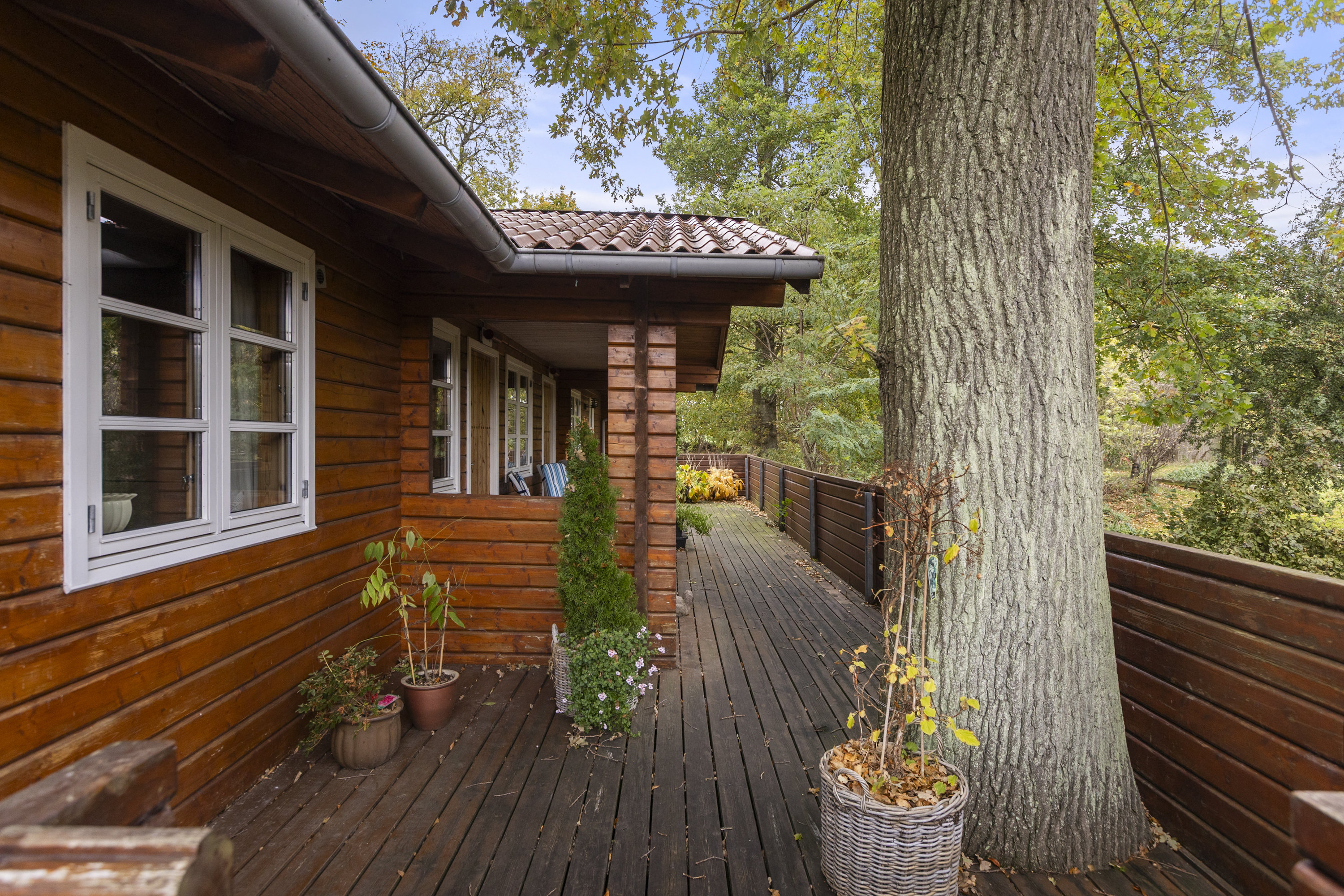 Fremhævet terrasse billede i fuldskærmstilstand. Billede af Humlevænget 10, Sæby, 4070 Kirke Hyllinge