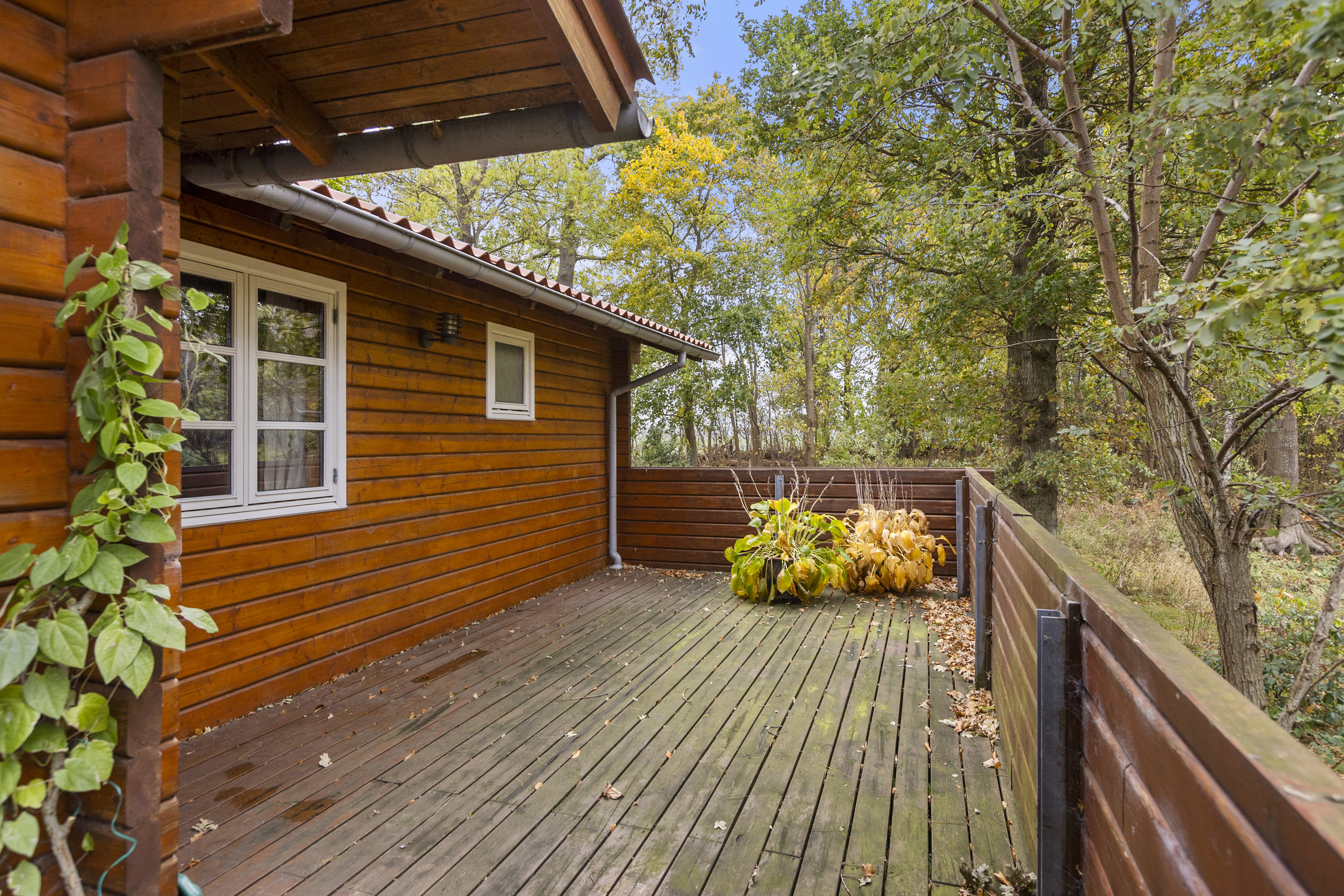 Fremhævet terrasse billede i fuldskærmstilstand. Billede af Humlevænget 10, Sæby, 4070 Kirke Hyllinge