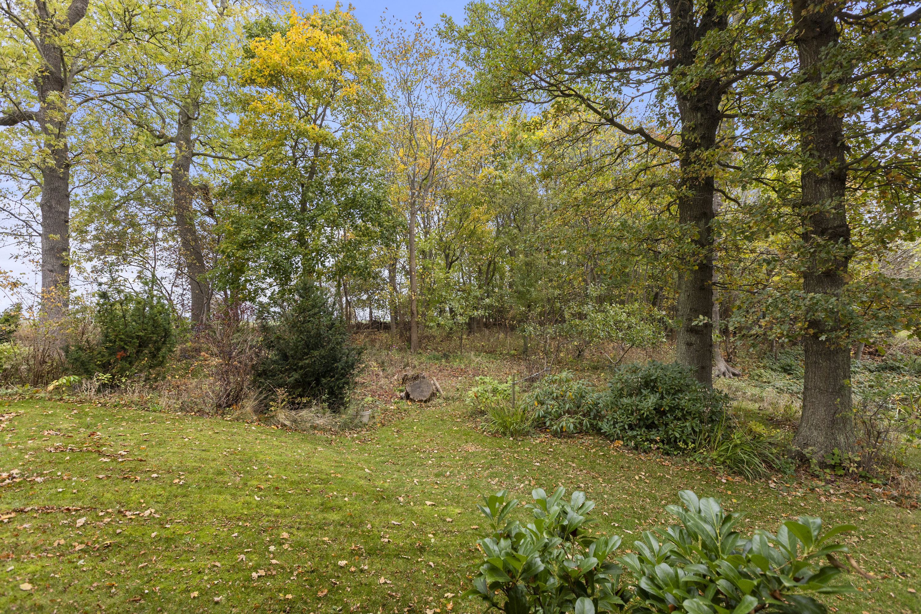 Fremhævet have billede i fuldskærmstilstand. Billede af Humlevænget 10, Sæby, 4070 Kirke Hyllinge