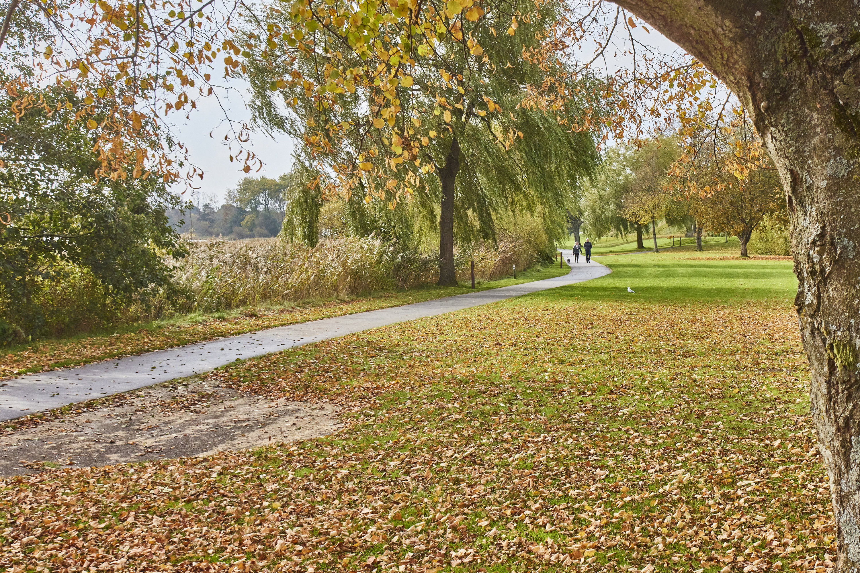 Fremhævet område billede i fuldskærmstilstand. Billede af Brøndumsvej 19, 4. th., 8800 Viborg