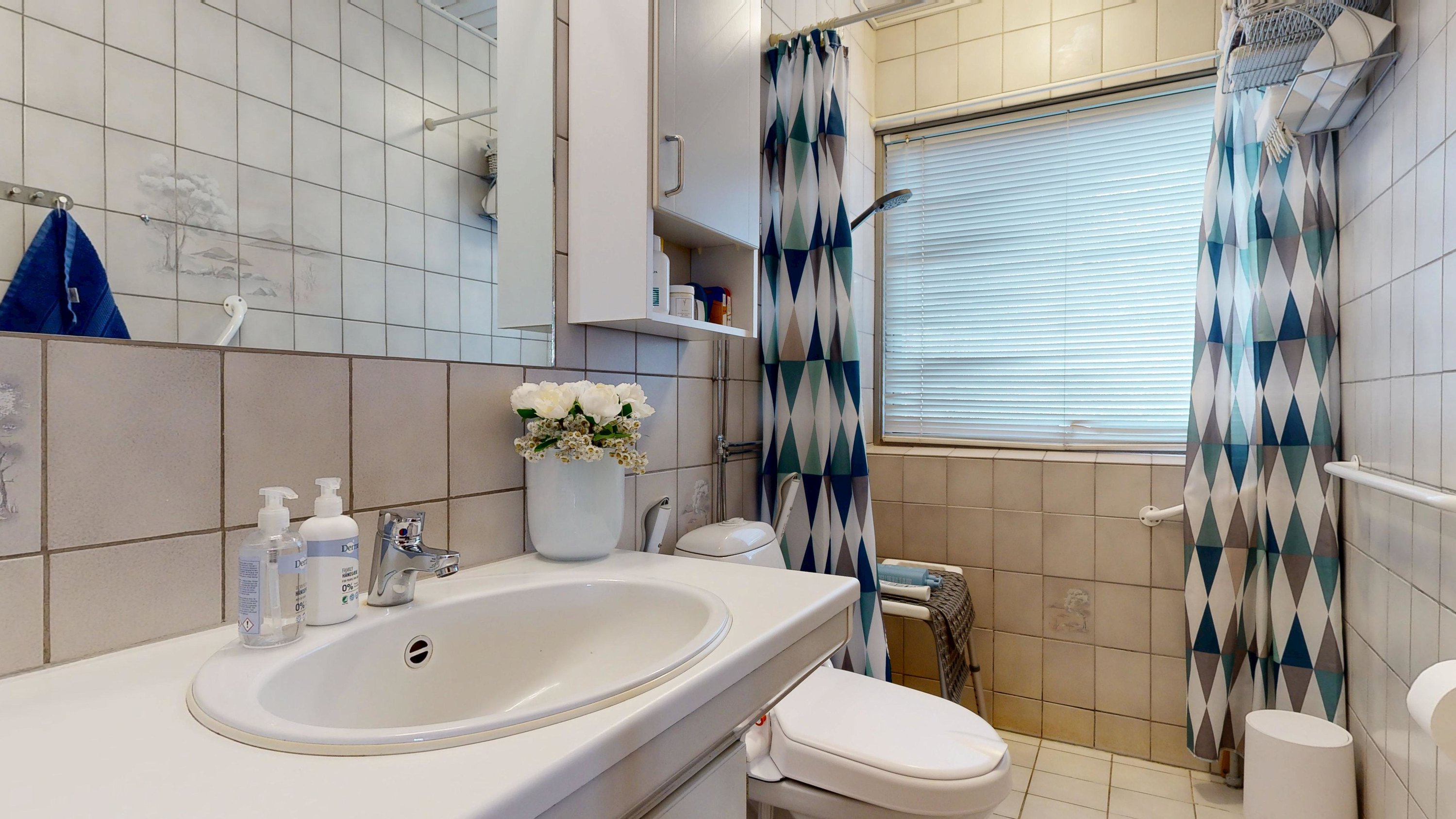 Fremhævet badeværelse billede i fuldskærmstilstand. Billede af Birkevej 22, 8800 Viborg