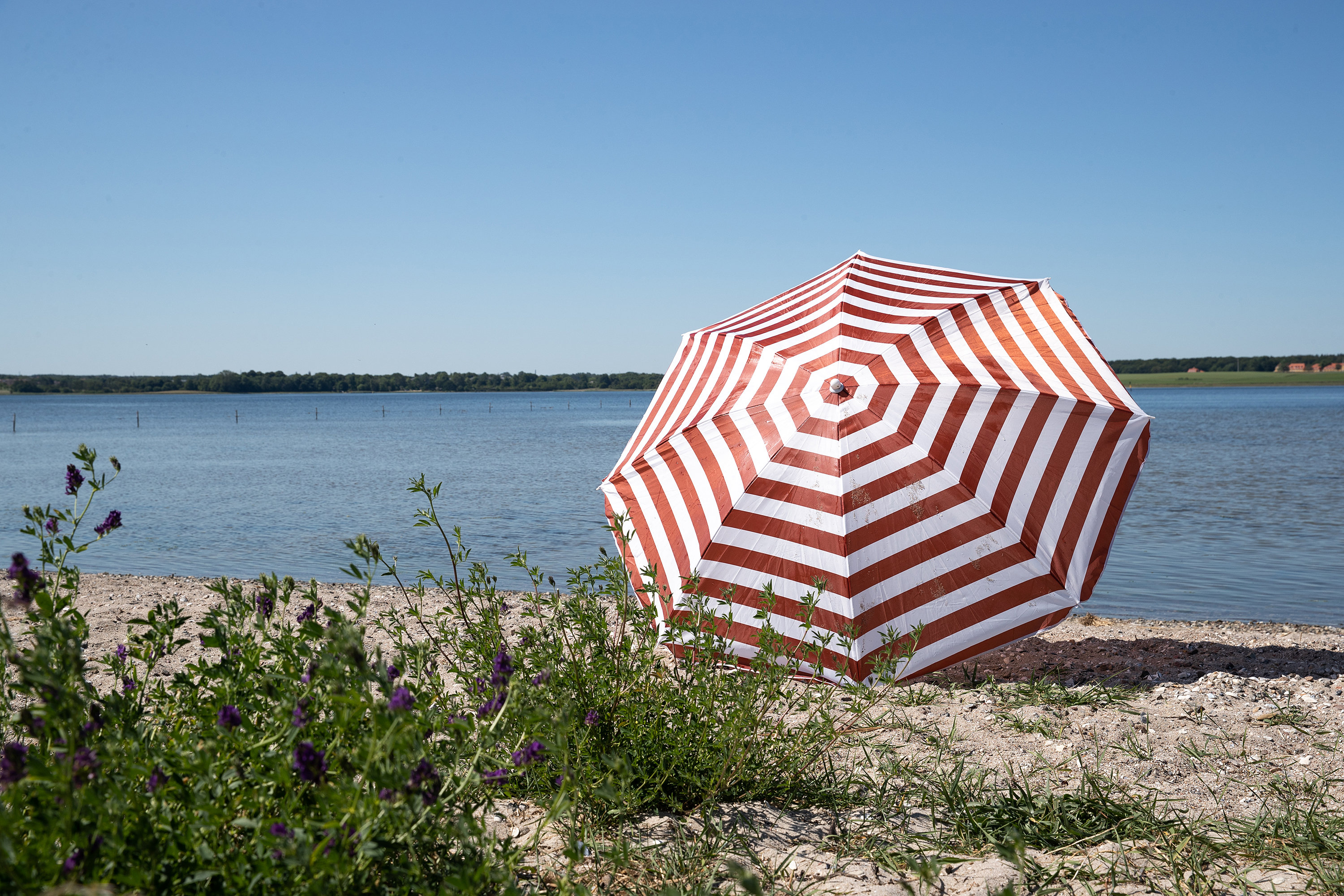 Fremhævet  billede i fuldskærmstilstand. Billede af Borgediget 24, 4000 Roskilde