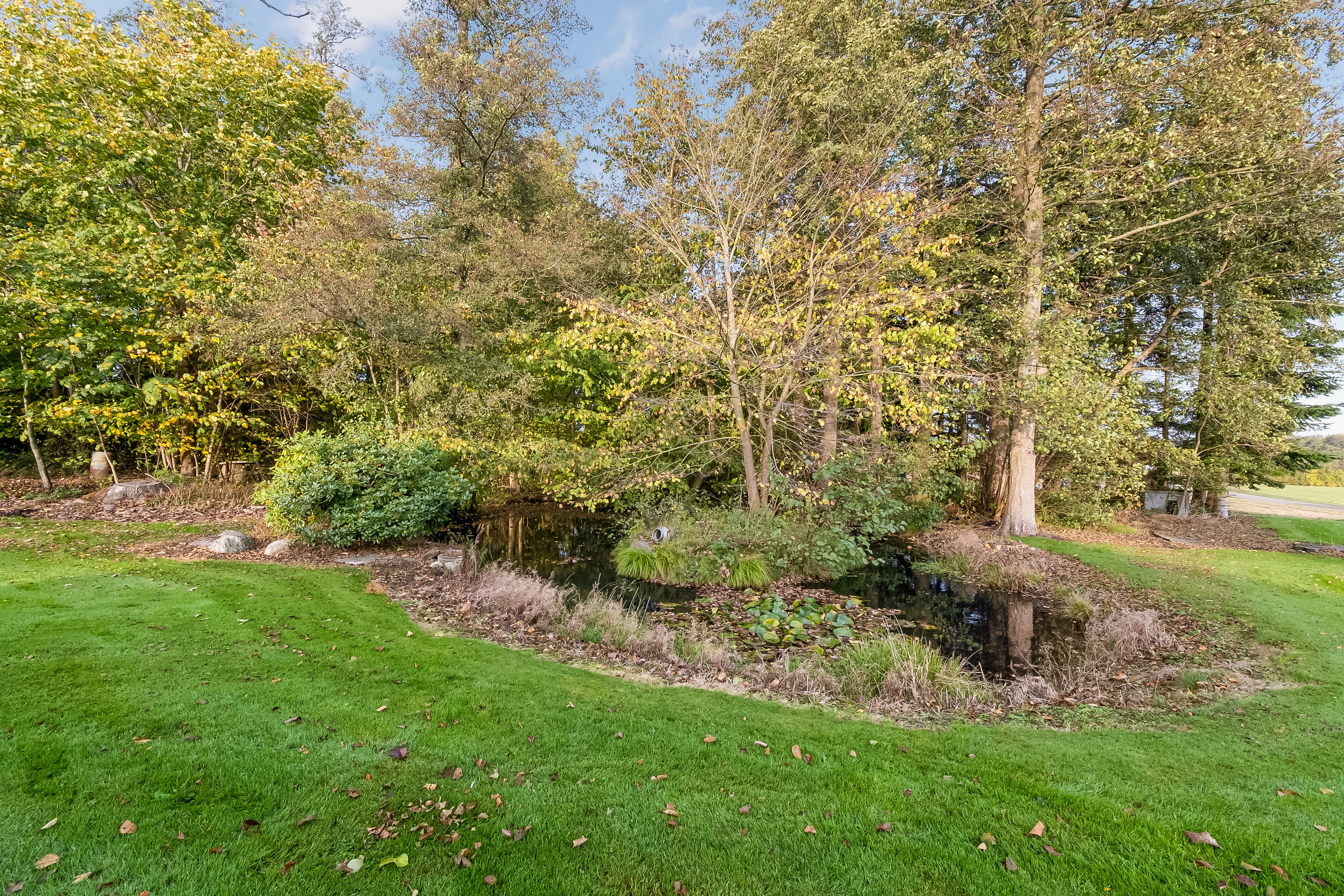 Fremhævet have billede i fuldskærmstilstand. Billede af Odensevej 24, Skallebjerg, 5683 Haarby