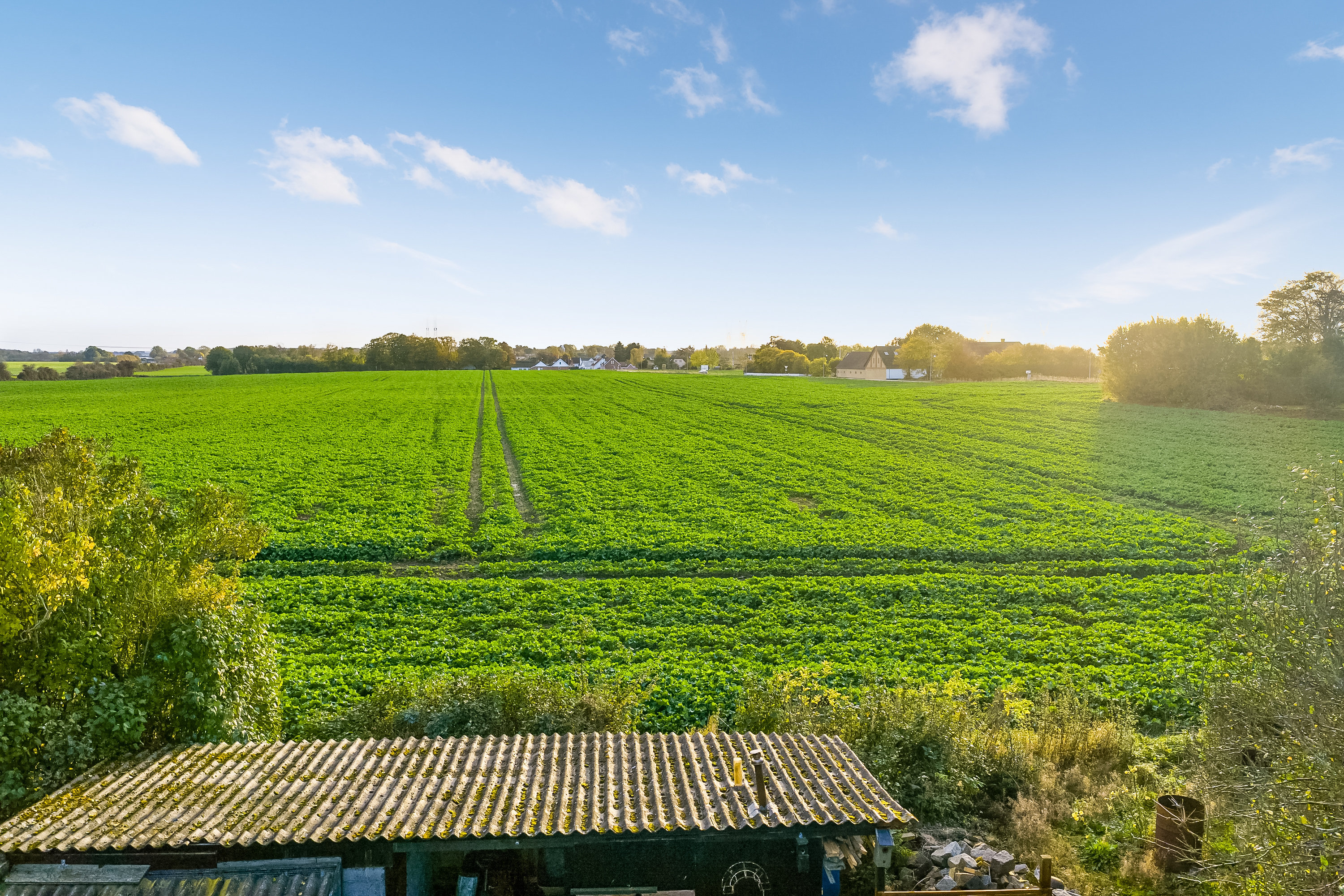 Miniaturebillede 2: udsigt. Billede af Hasseriisvej 16, Kauslunde, 5500 Middelfart