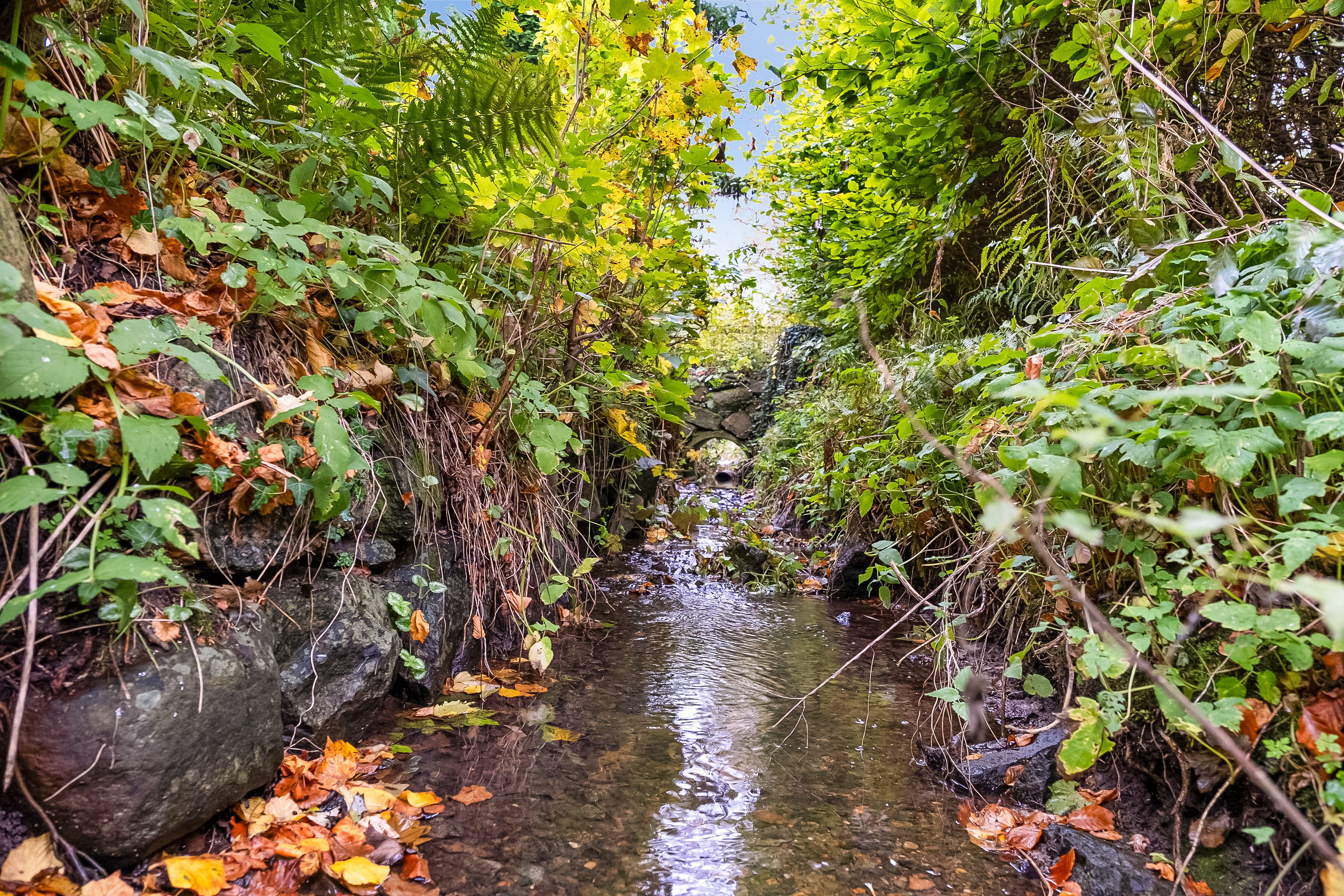 Fremhævet have billede i fuldskærmstilstand. Billede af Fasanvej 29, 5863 Ferritslev Fyn