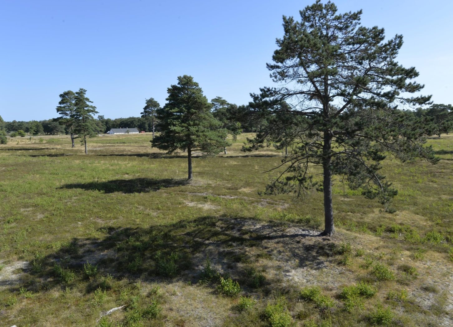 Fremhævet andet billede i fuldskærmstilstand. Billede af Sydhavnsvej 11, Bouet, 9940 Læsø