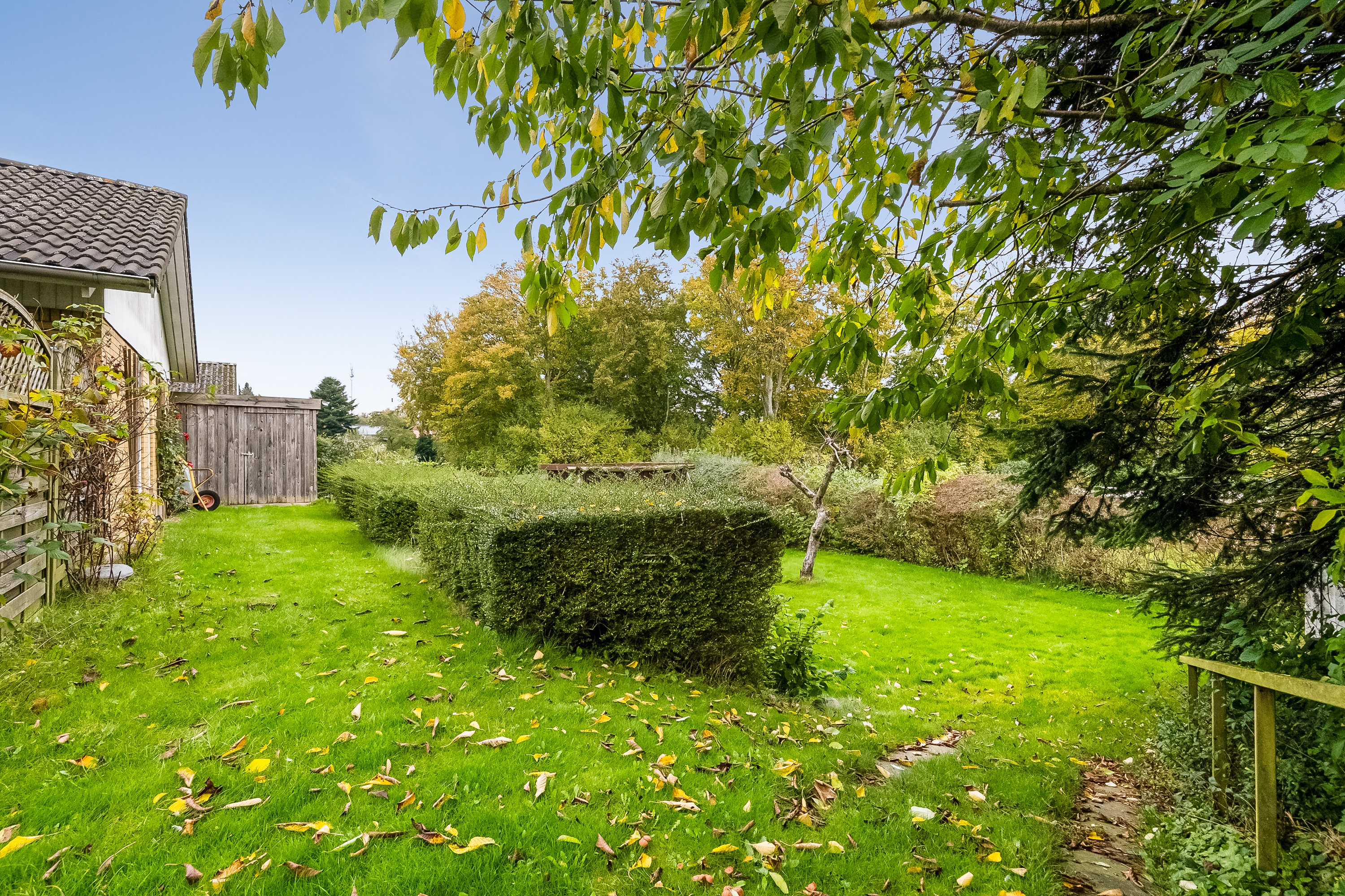 Fremhævet have billede i fuldskærmstilstand. Billede af Hyldegårdsvej 35, Brylle, 5690 Tommerup