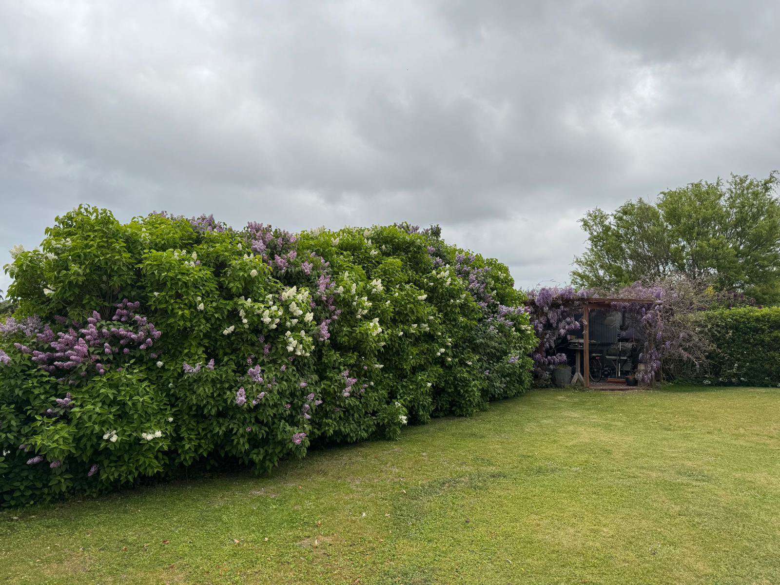Fremhævet street view billede i fuldskærmstilstand. Billede af Kagsåvej 29, 2860 Søborg