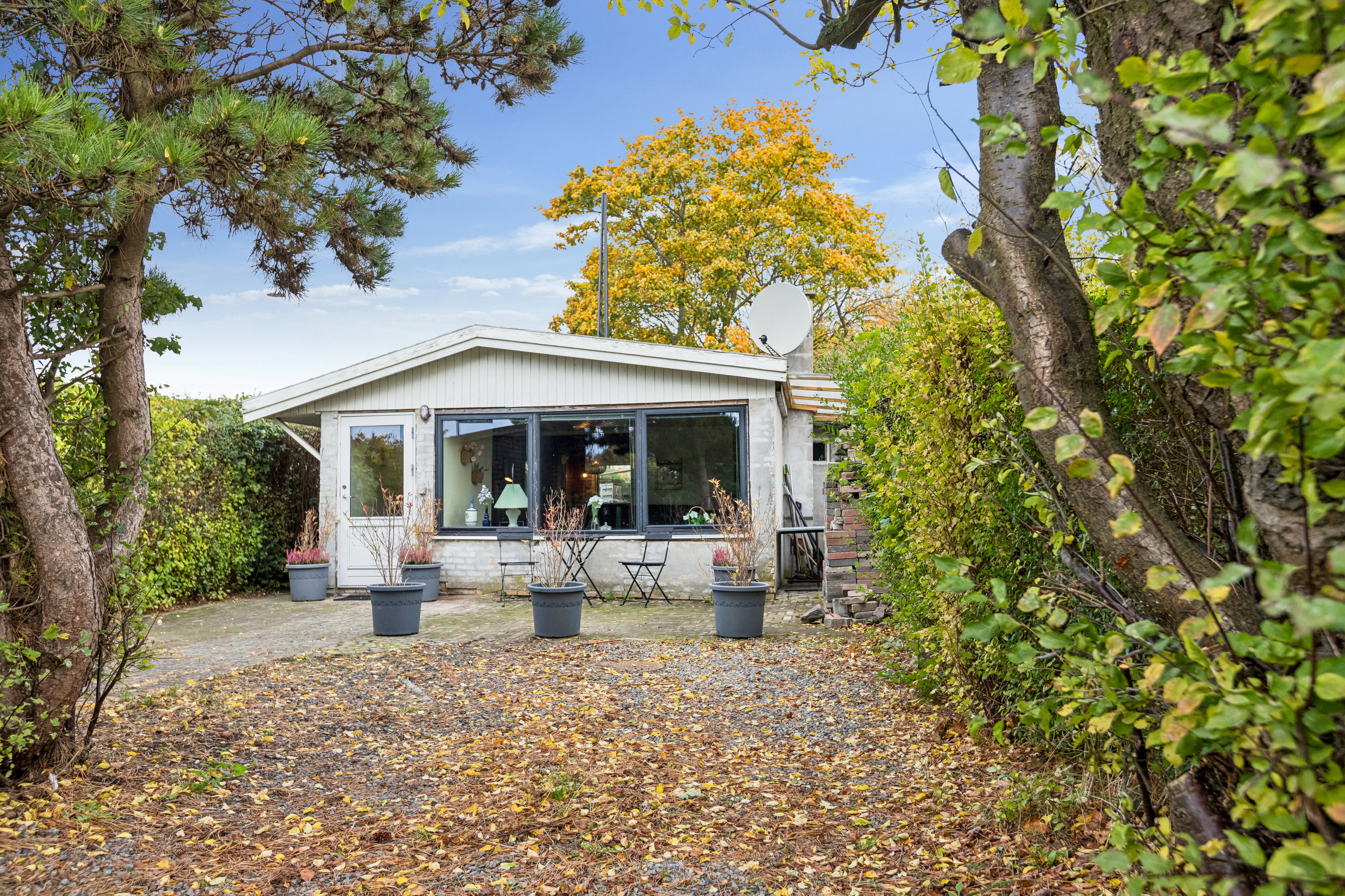 Fremhævet  billede i fuldskærmstilstand. Billede af Azaleagangen 1, 2300 København S