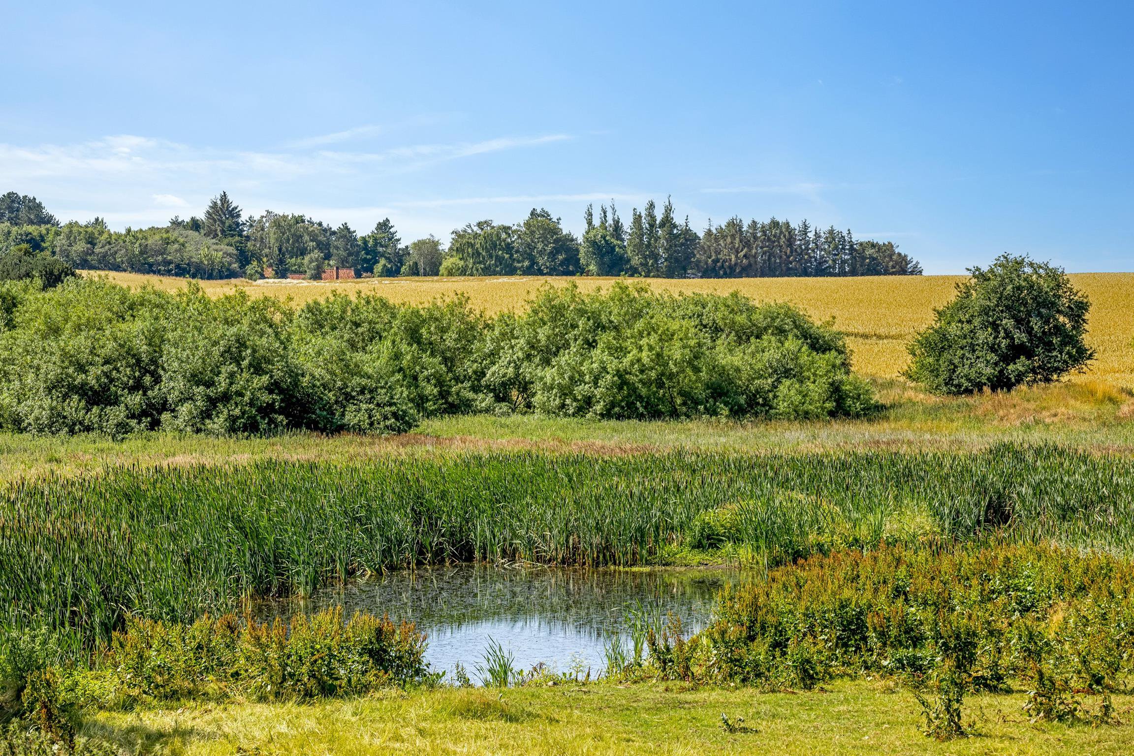 Fremhævet  billede i fuldskærmstilstand. Billede af Søgade 6, Venslev, 4050 Skibby