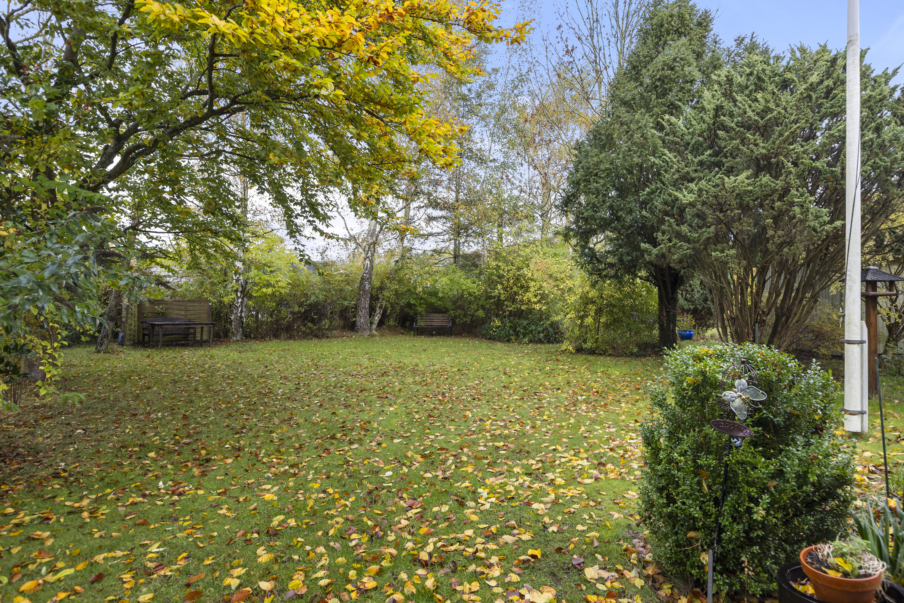 Fremhævet have billede i fuldskærmstilstand. Billede af Hannesvej 8, Kaldred, 4593 Eskebjerg