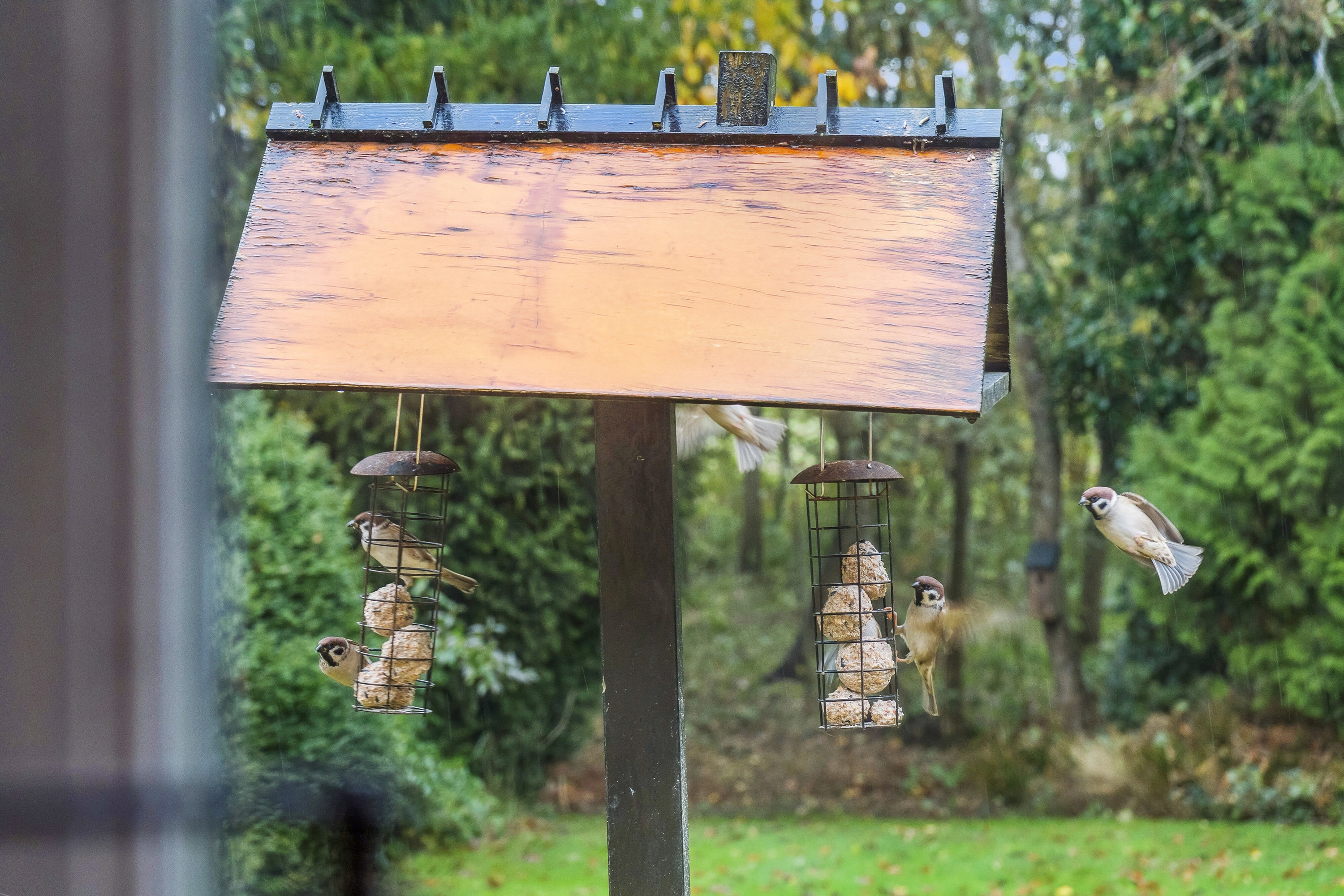 Fremhævet udsigt billede i fuldskærmstilstand. Billede af Varmkærvej 11, Varmkær, 6040 Egtved