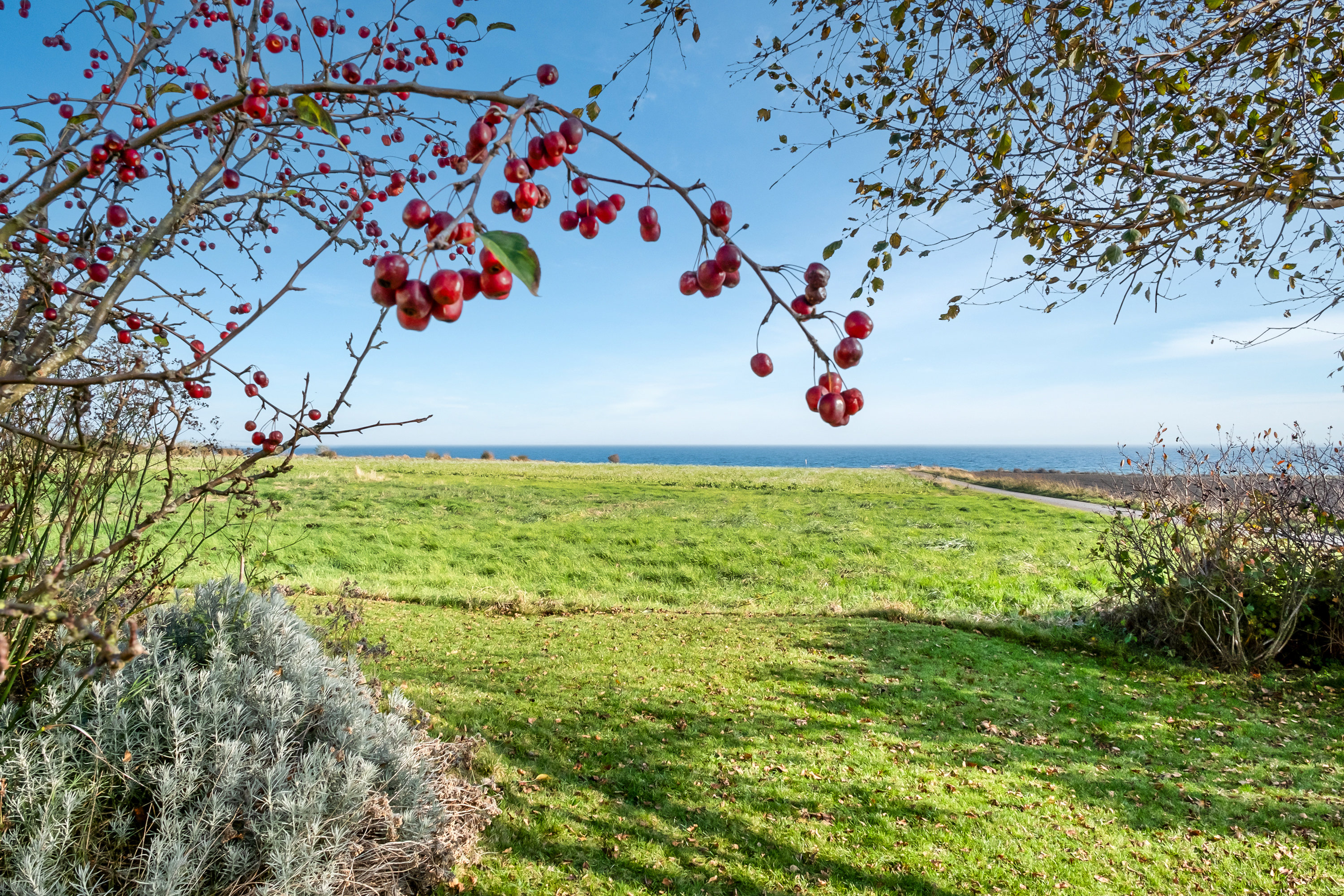 Fremhævet udsigt billede i fuldskærmstilstand. Billede af Havsmarken 1, 5970 Ærøskøbing