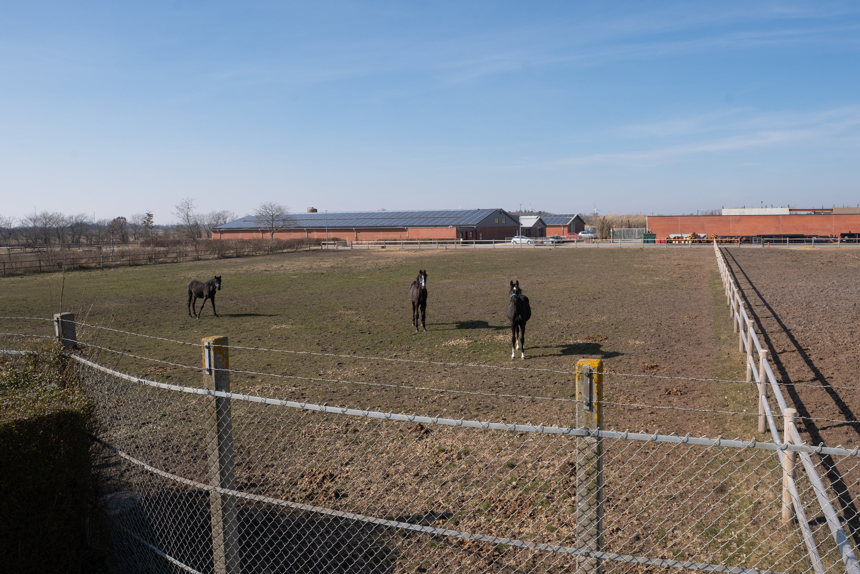 Fremhævet  billede i fuldskærmstilstand. Billede af Engvej 4, 6731 Tjæreborg