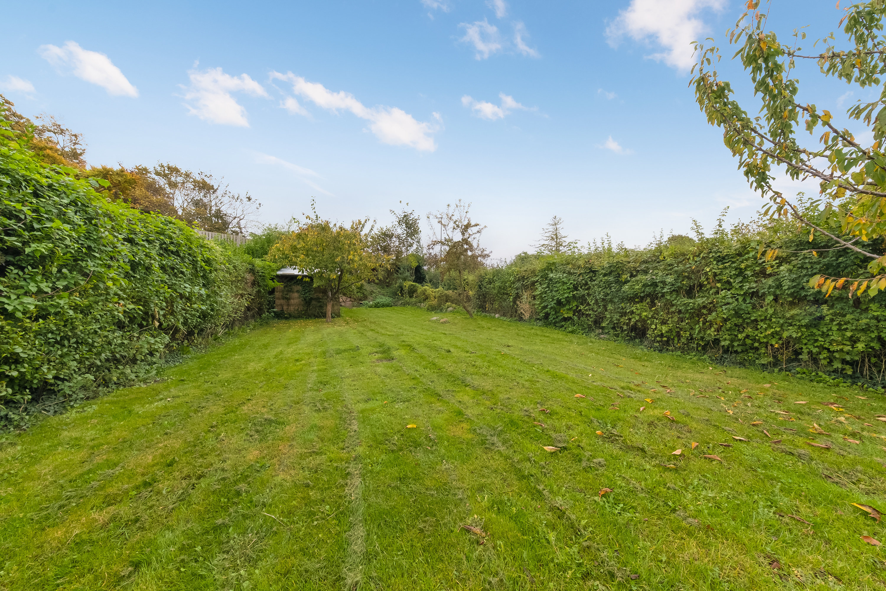 Fremhævet have billede i fuldskærmstilstand. Billede af Rolf Krakes Vænge 16, 5800 Nyborg