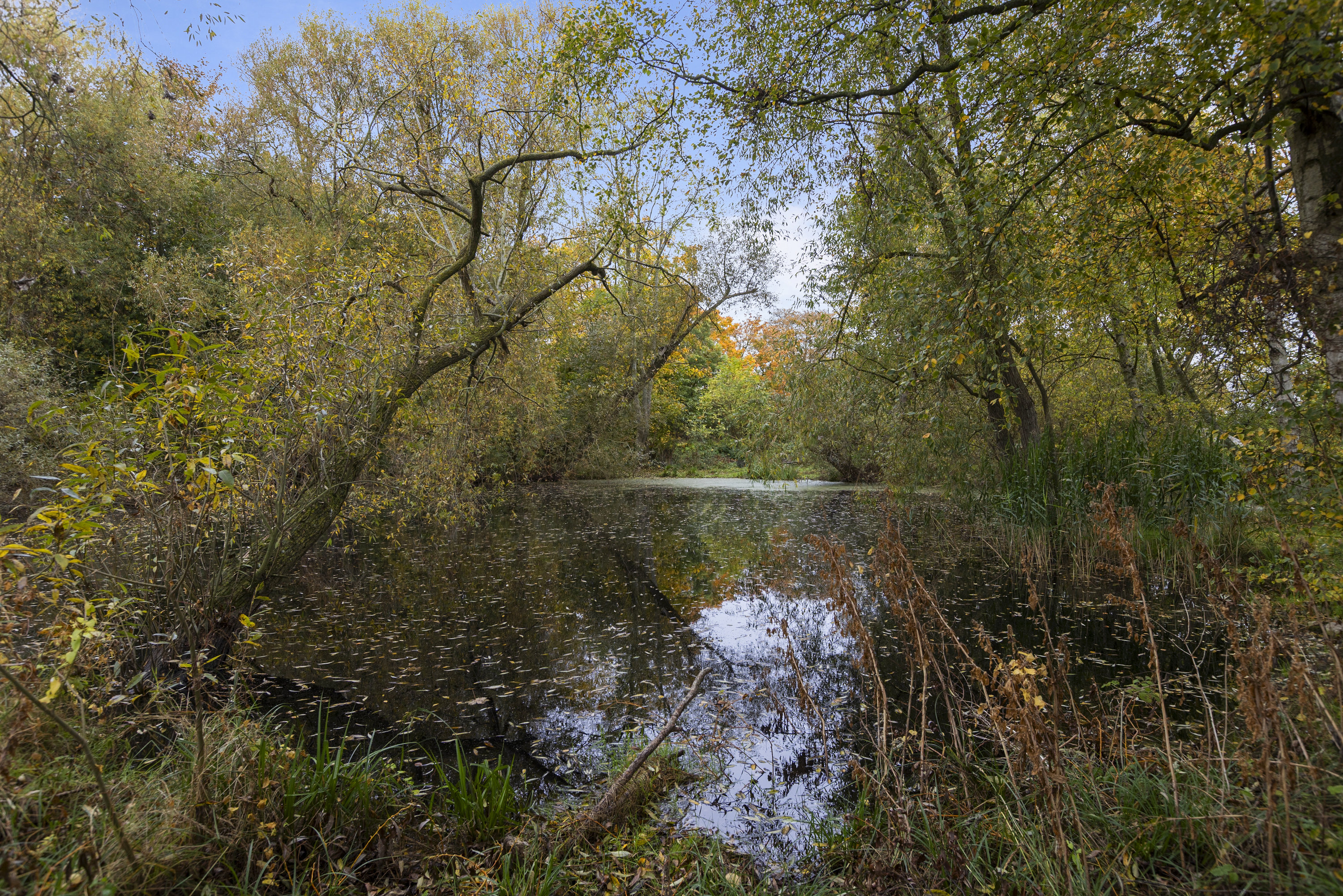 Fremhævet have billede i fuldskærmstilstand. Billede af Mosevej 3, 4241 Vemmelev