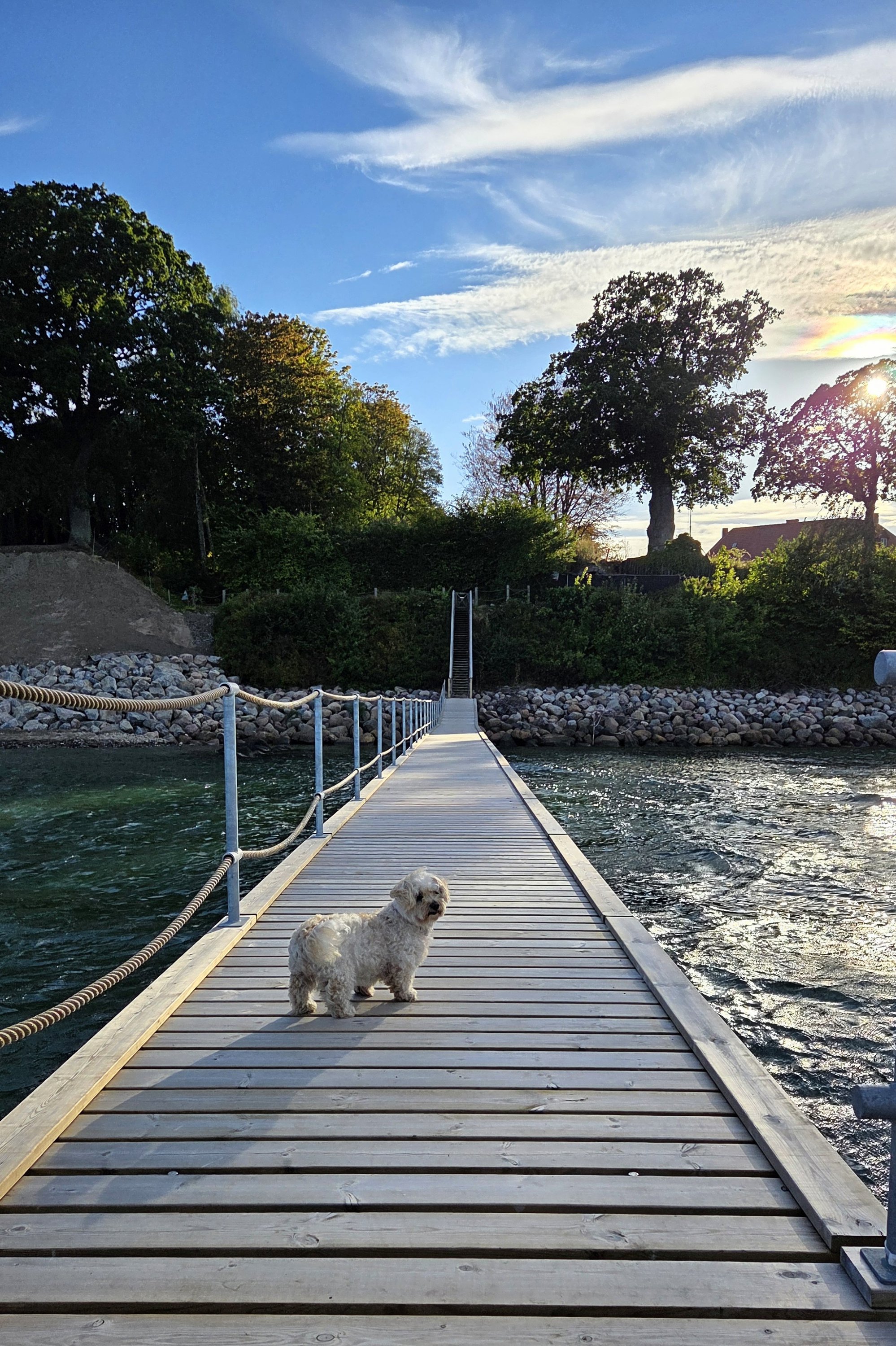 Fremhævet  billede i fuldskærmstilstand. Billede af Smidstruplund 15, 2950 Vedbæk