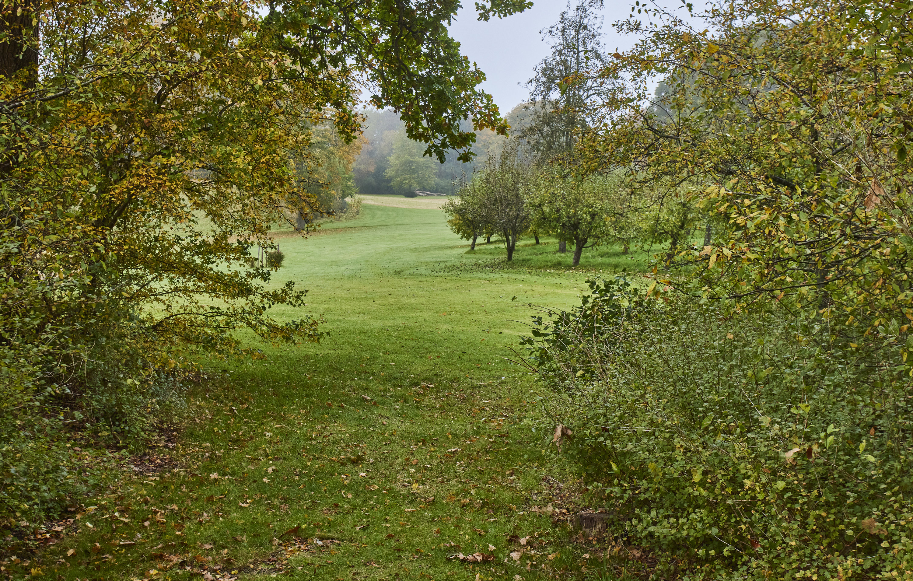 Fremhævet område billede i fuldskærmstilstand. Billede af N.F.S. Grundtvigs Vej 26, 8800 Viborg