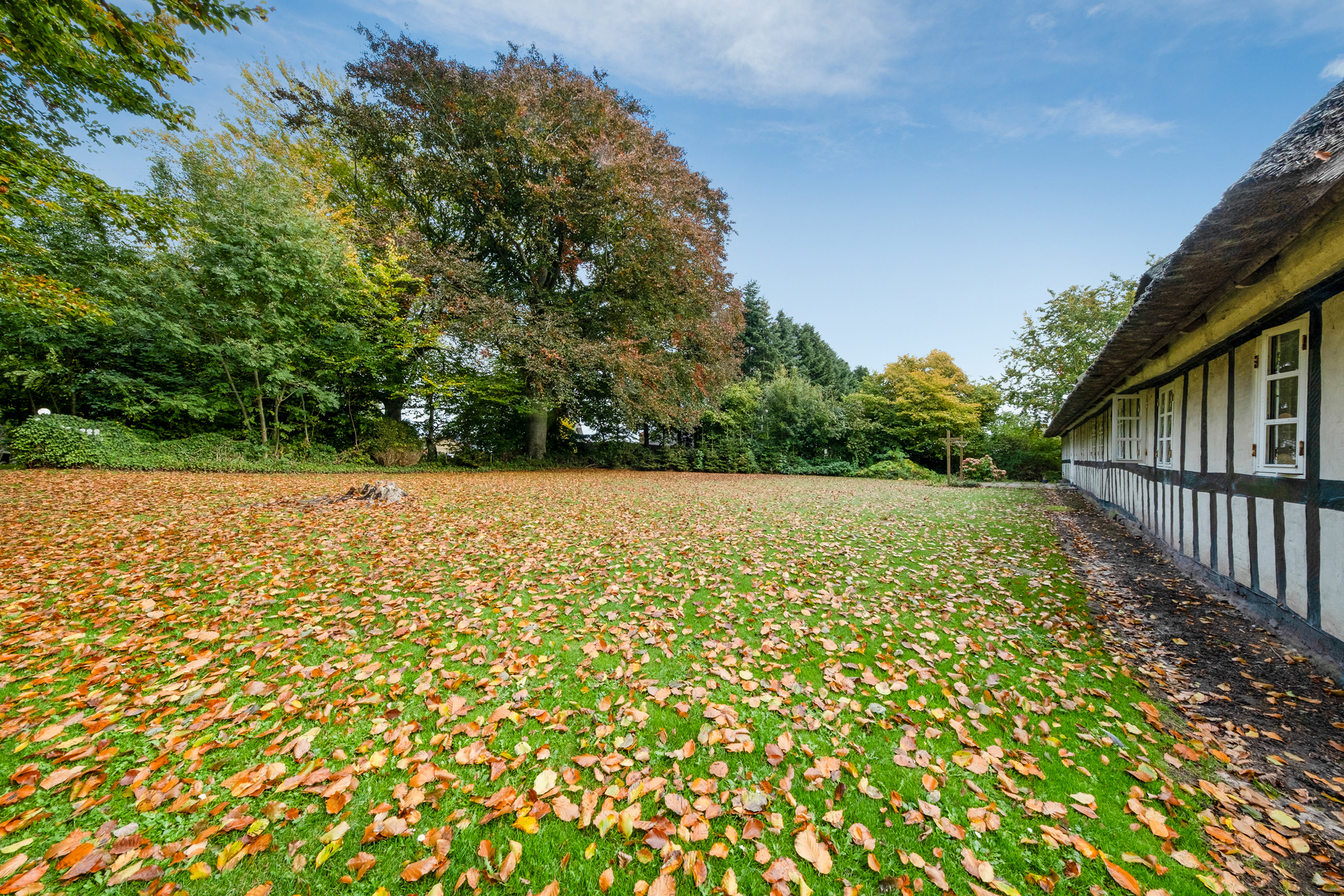 Fremhævet have billede i fuldskærmstilstand. Billede af Toftevej 7 + 9, Brylle, 5690 Tommerup