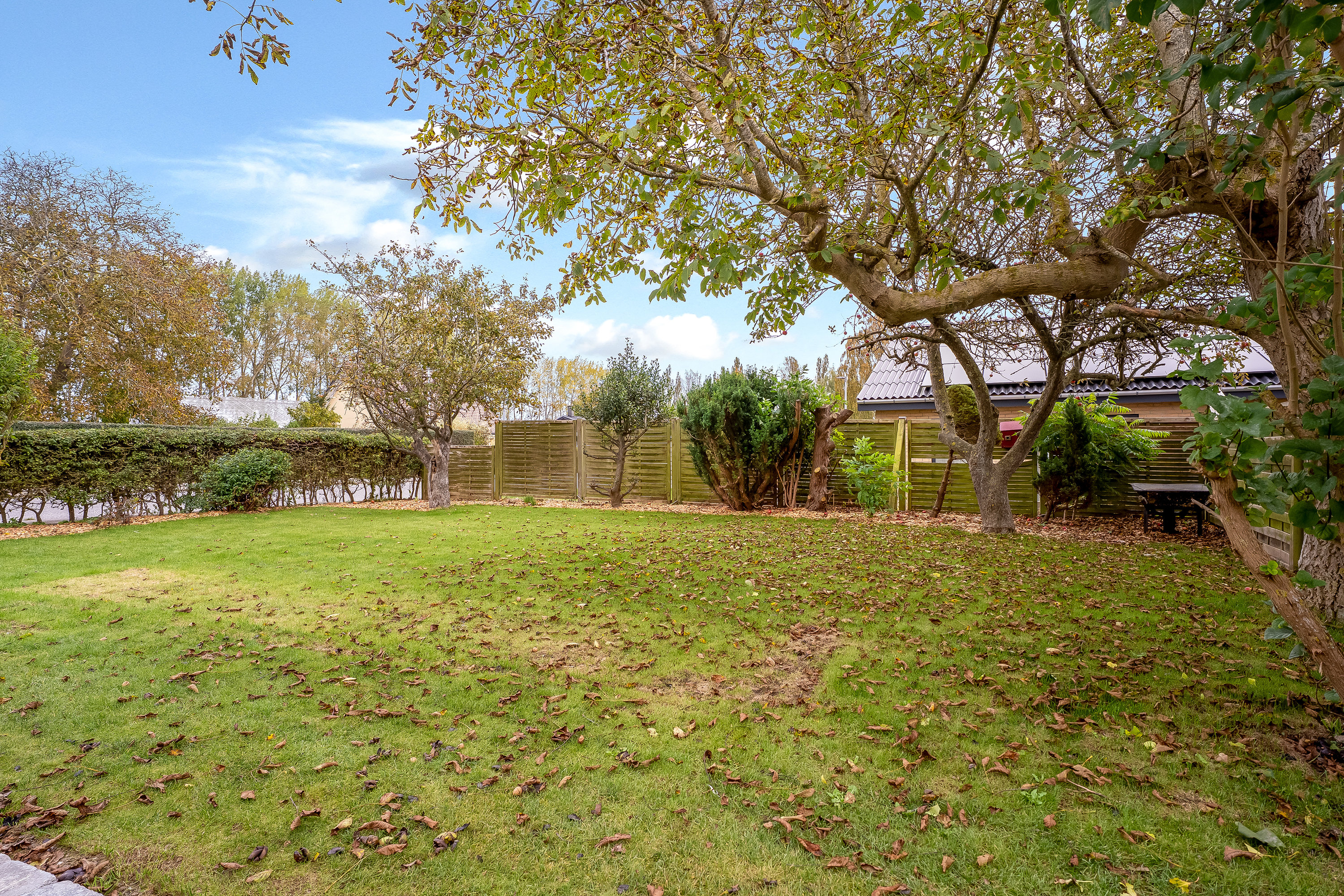 Fremhævet have billede i fuldskærmstilstand. Billede af Kraghave Møllevej 36, Kraghave, 4800 Nykøbing F