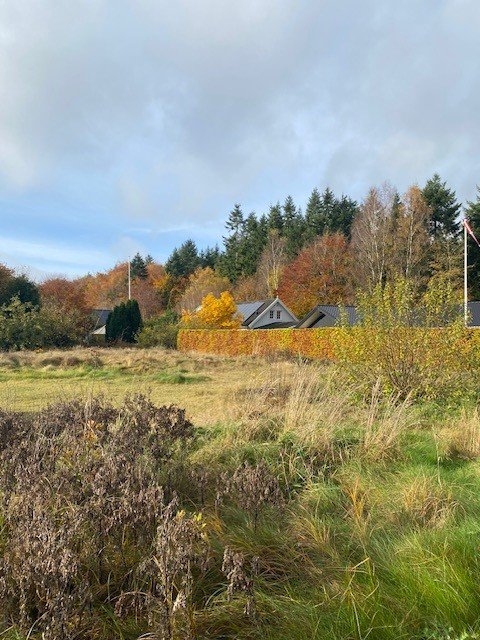 Fremhævet  billede i fuldskærmstilstand. Billede af Rosenparken 7, 5620 Glamsbjerg