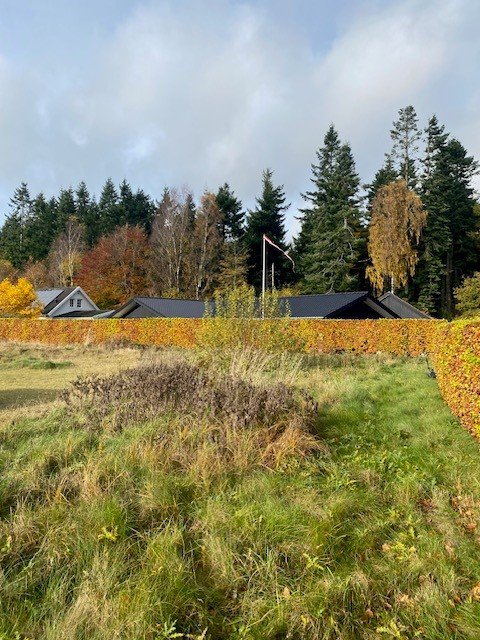 Fremhævet  billede i fuldskærmstilstand. Billede af Rosenparken 7, 5620 Glamsbjerg