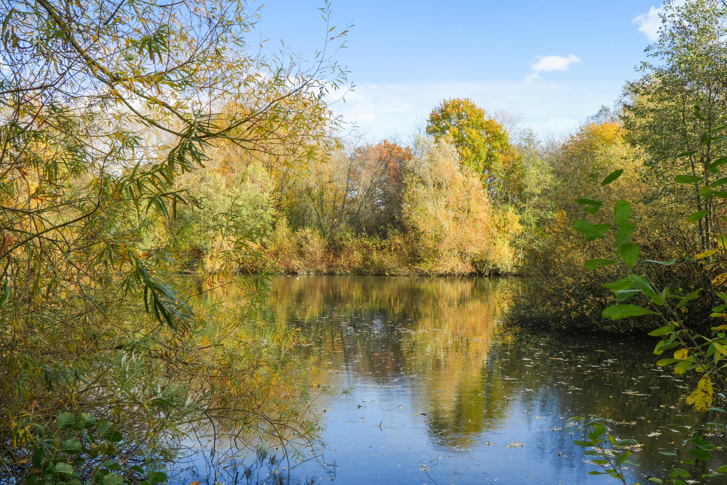 Fremhævet andet billede i fuldskærmstilstand. Billede af Odinsvej 8, 3460 Birkerød