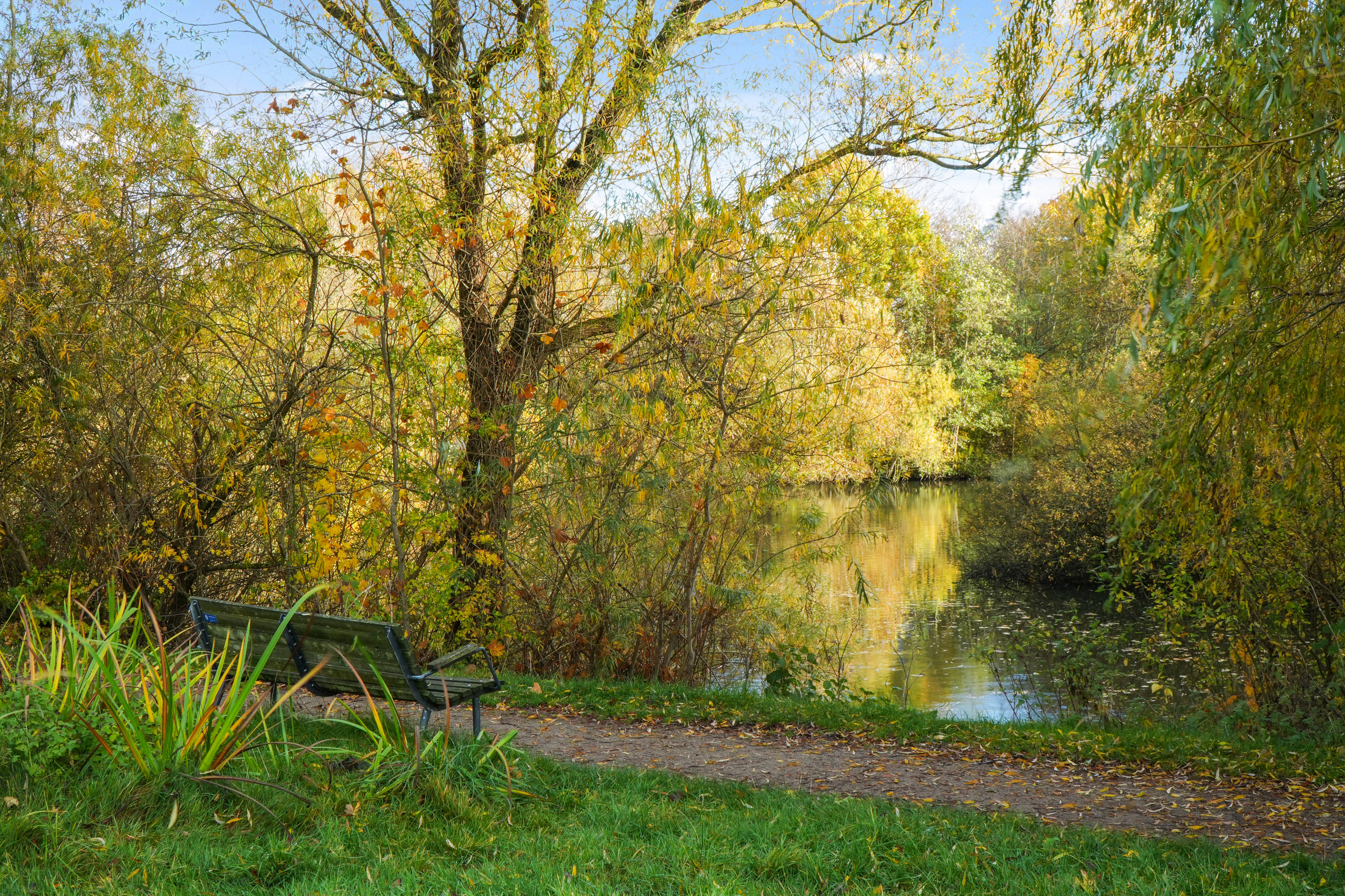 Fremhævet andet billede i fuldskærmstilstand. Billede af Odinsvej 8, 3460 Birkerød