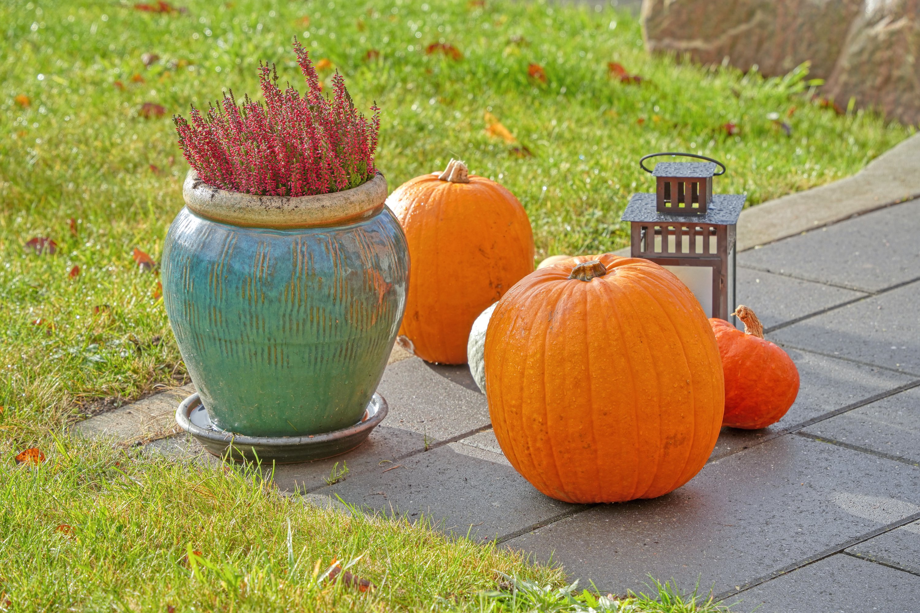 Fremhævet terrasse billede i fuldskærmstilstand. Billede af Holmegårdsvang 10, 3400 Hillerød