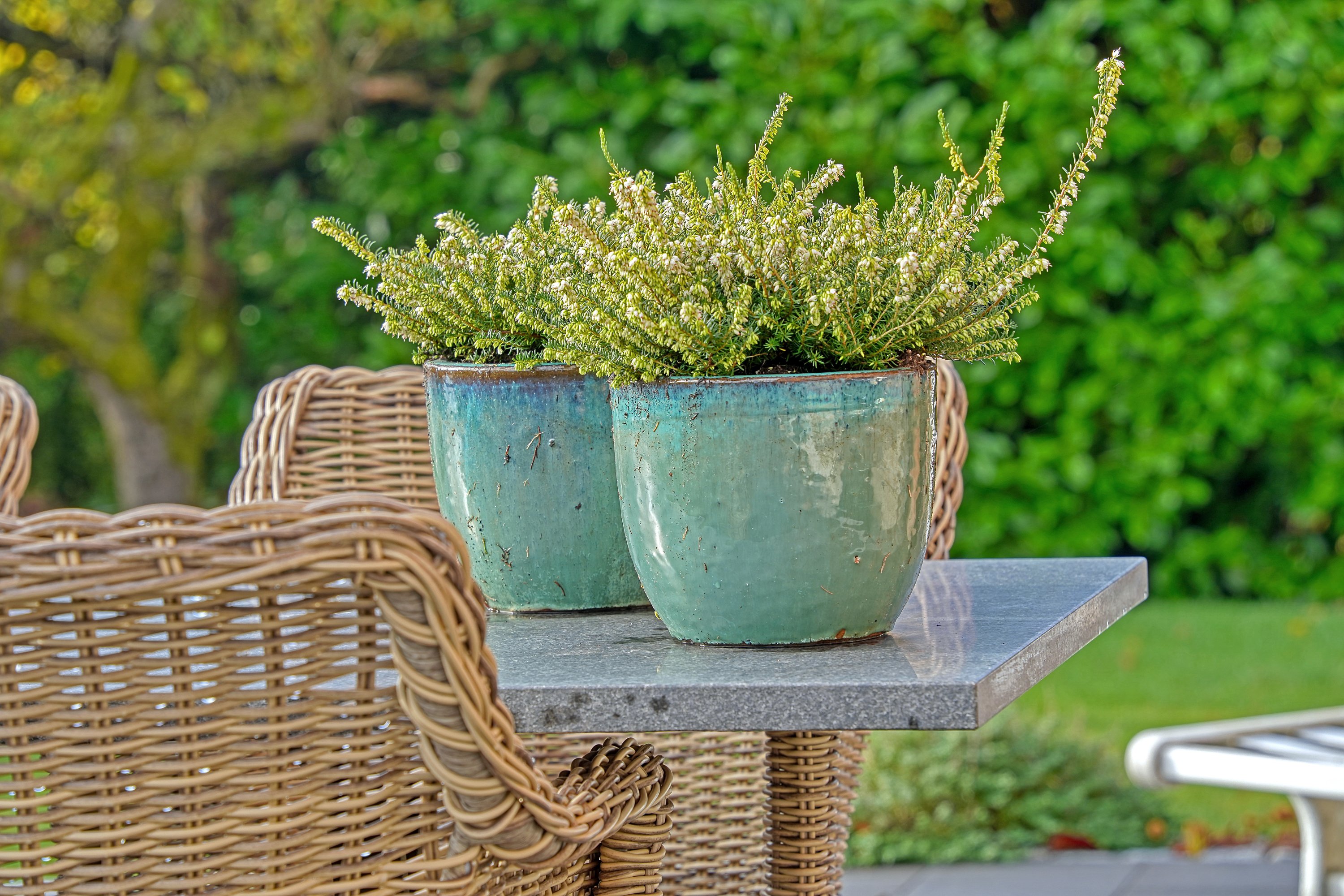 Fremhævet terrasse billede i fuldskærmstilstand. Billede af Holmegårdsvang 10, 3400 Hillerød