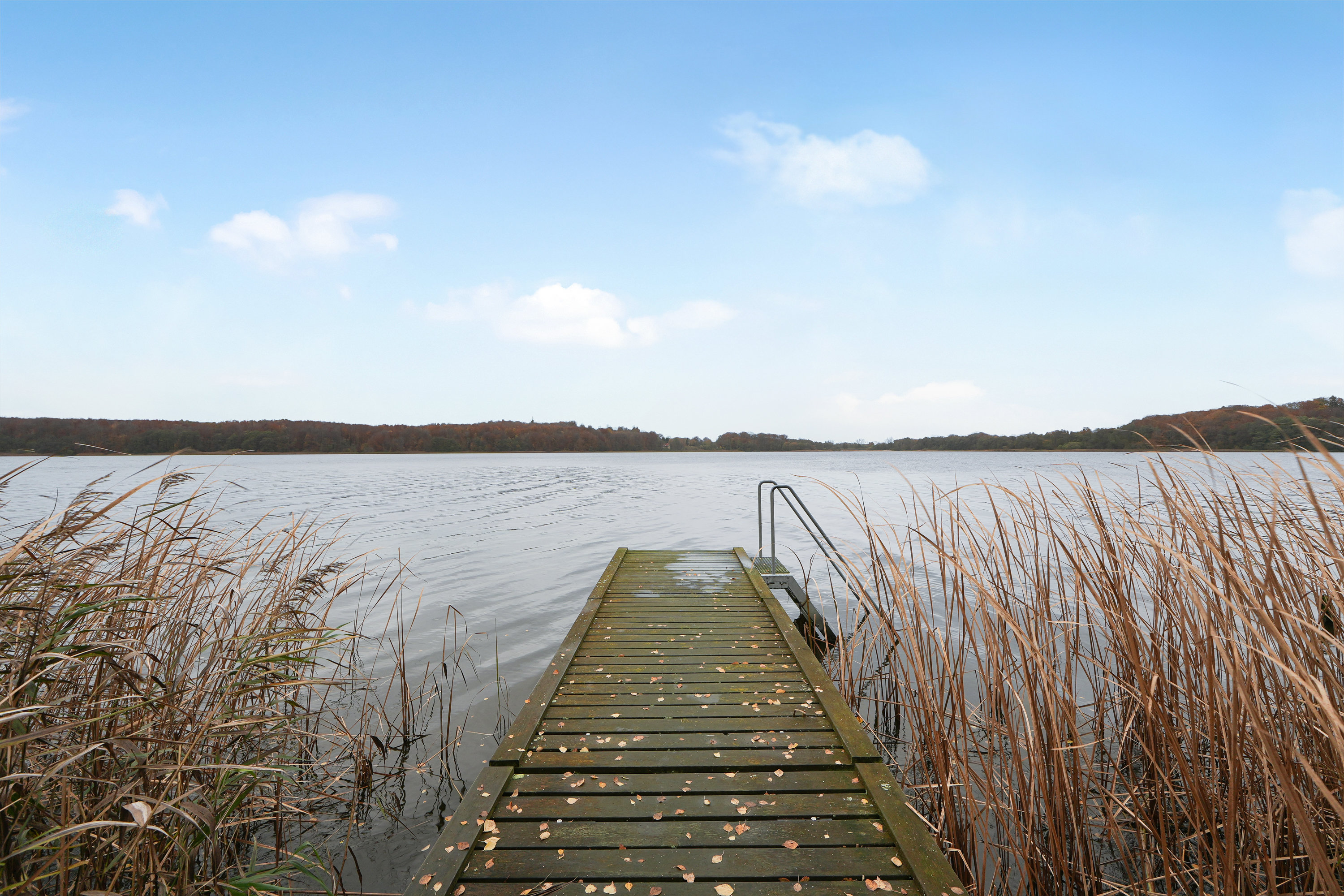 Fremhævet andet billede i fuldskærmstilstand. Billede af Sjælsøvej 49, 3460 Birkerød