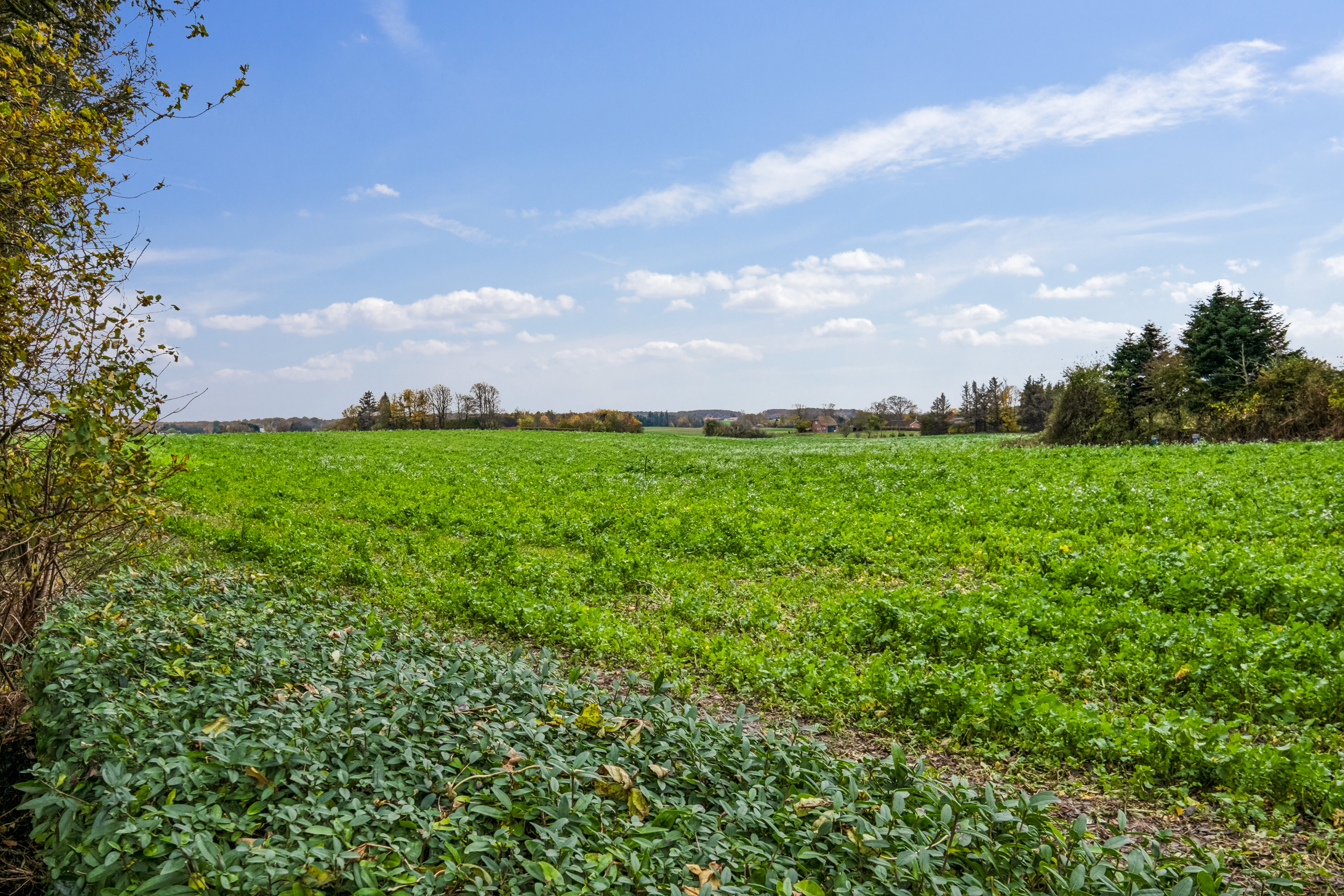 Fremhævet udsigt billede i fuldskærmstilstand. Billede af Barrit Langgade 72, 7150 Barrit