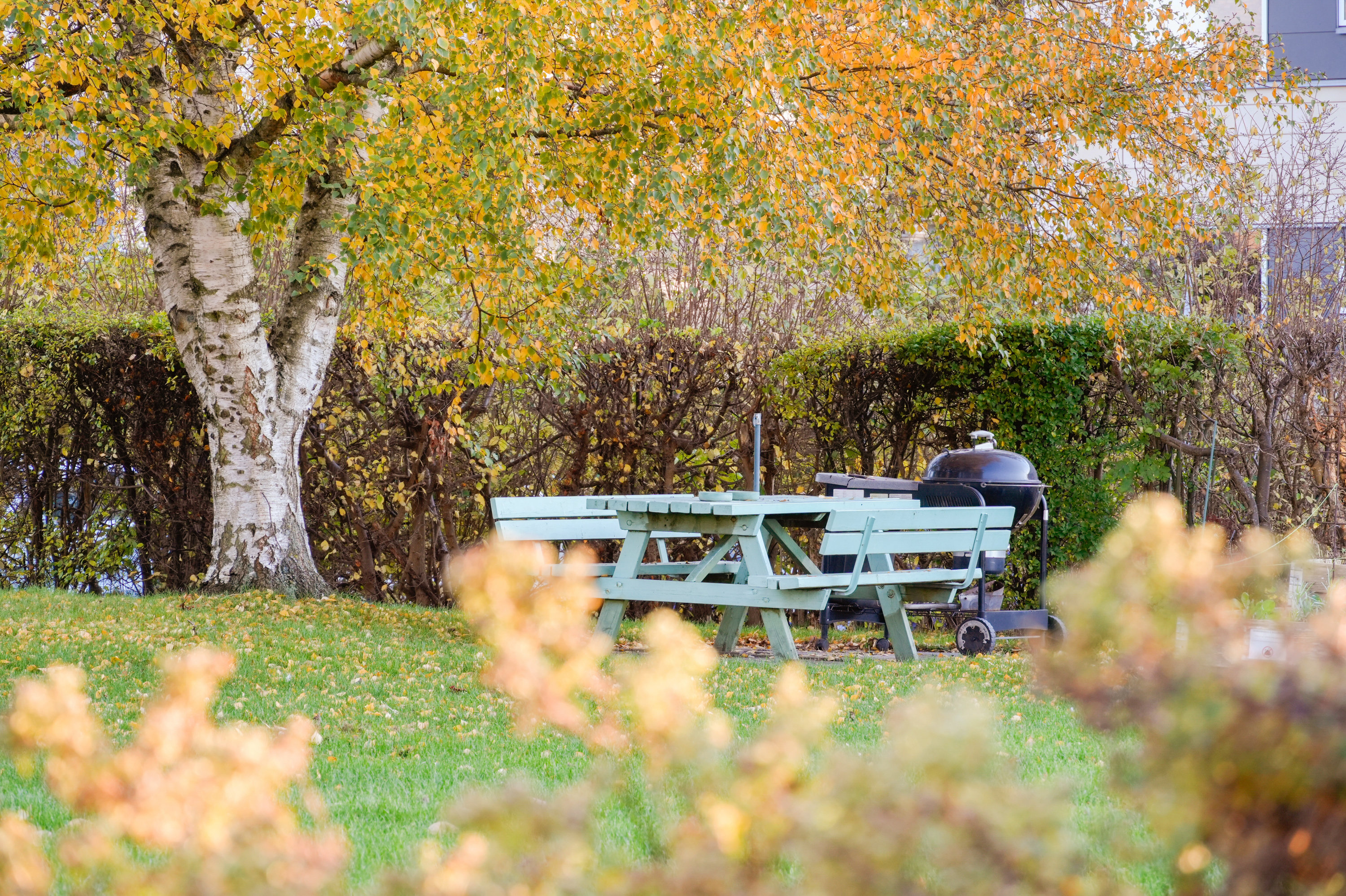 Fremhævet andet billede i fuldskærmstilstand. Billede af Novembervej 11, 1. th., 2860 Søborg