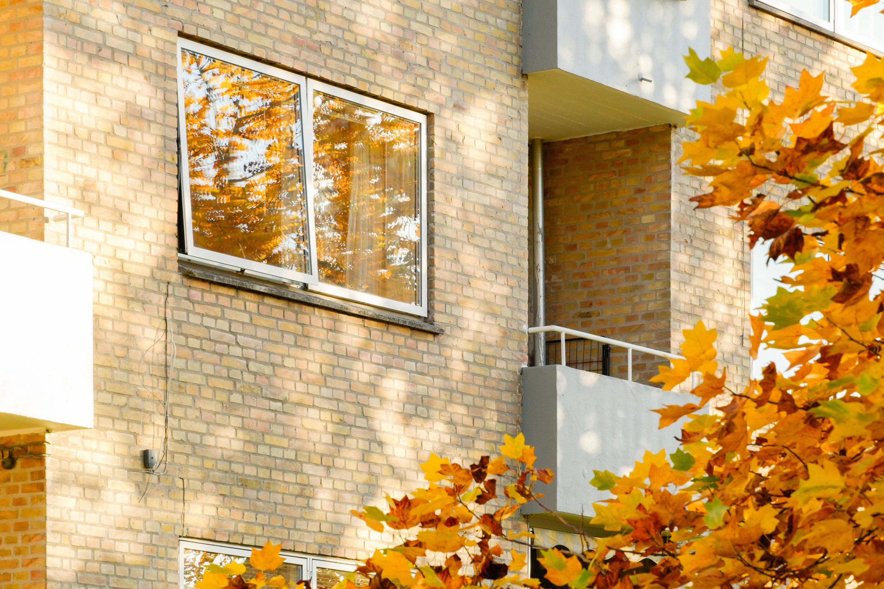 Fremhævet andet billede i fuldskærmstilstand. Billede af Novembervej 11, 1. th., 2860 Søborg