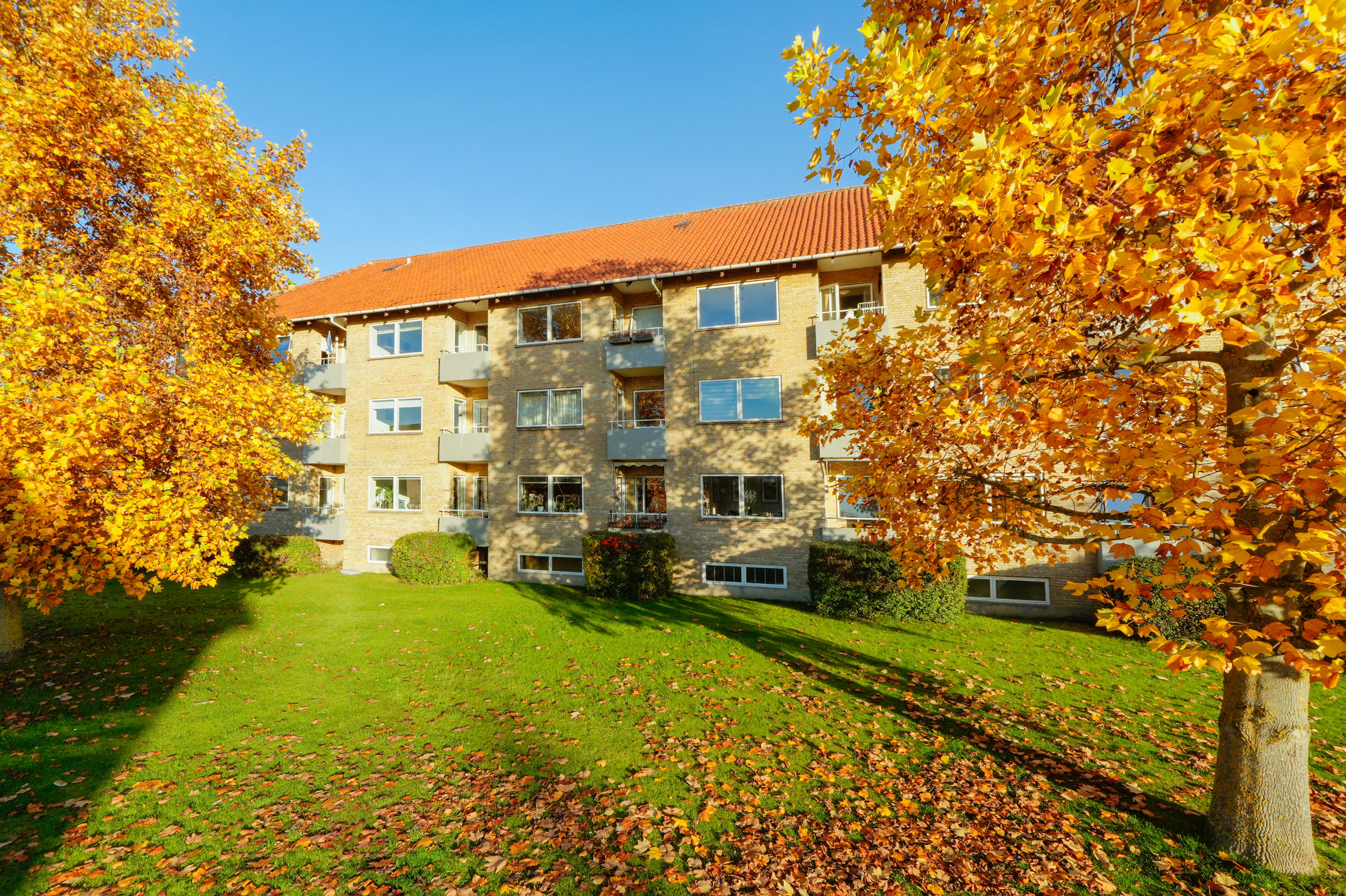 Fremhævet andet billede i fuldskærmstilstand. Billede af Novembervej 11, 1. th., 2860 Søborg