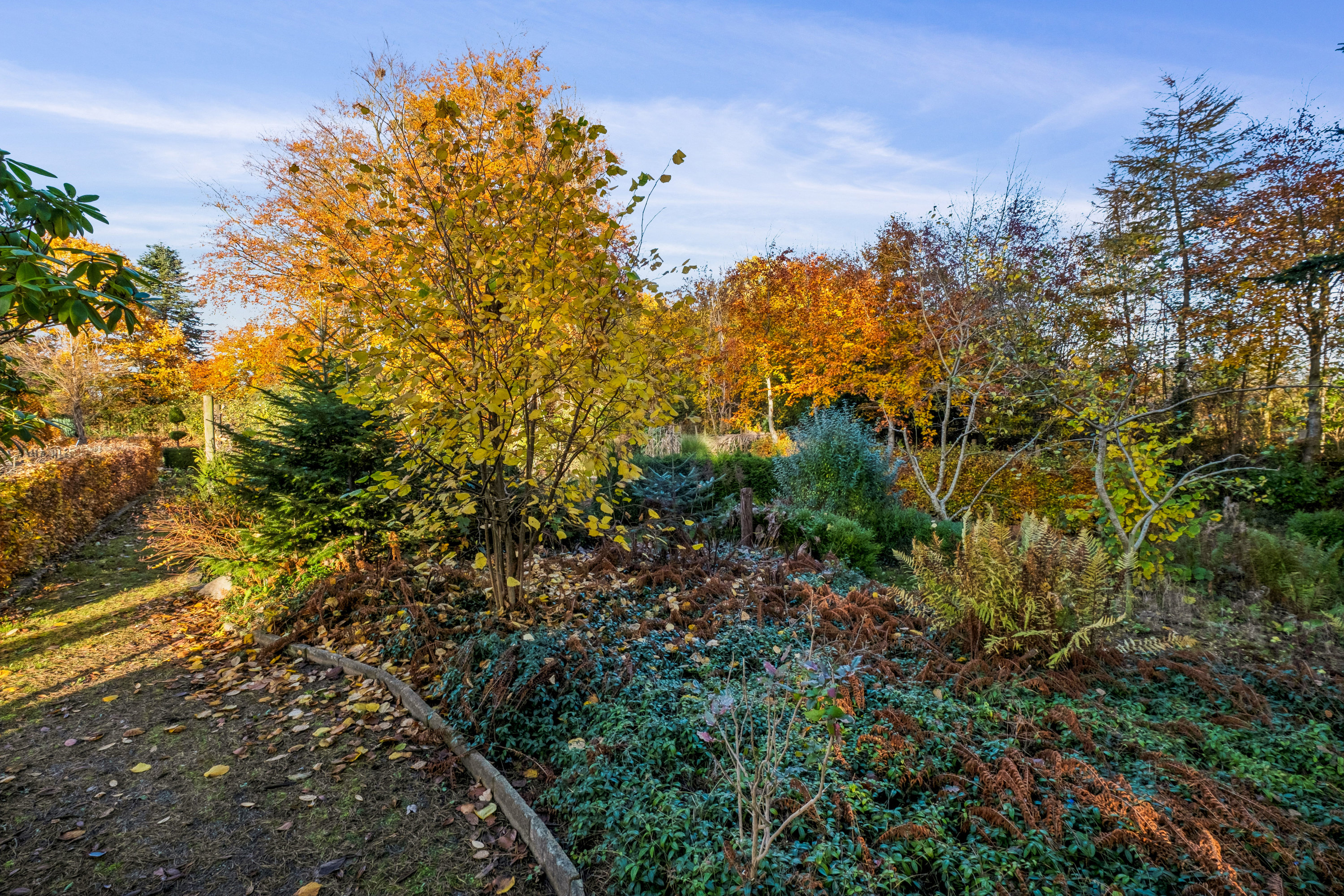 Fremhævet have billede i fuldskærmstilstand. Billede af Egebjergvej 180, 8700 Horsens