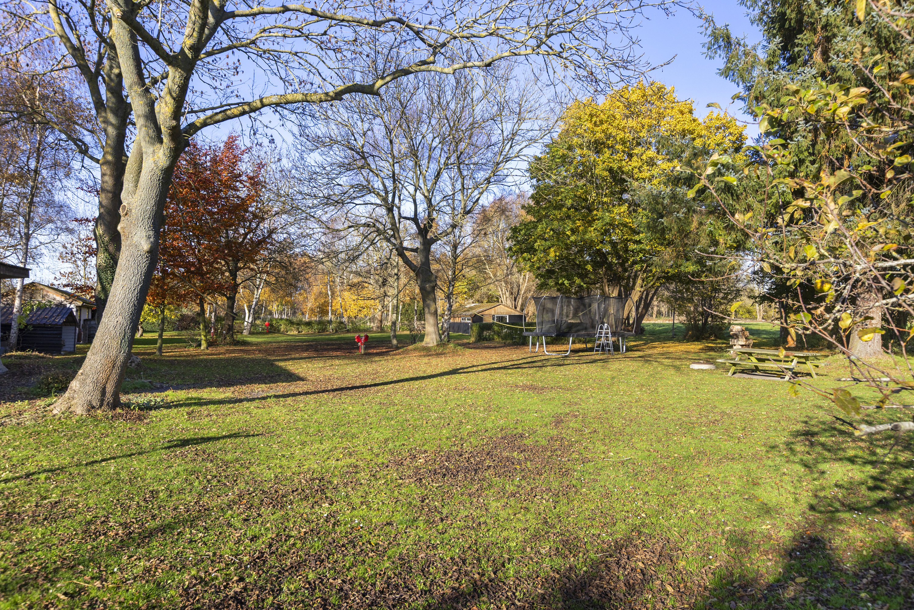 Miniaturebillede 1: have. Billede af Slagelsevej 201, 4400 Kalundborg