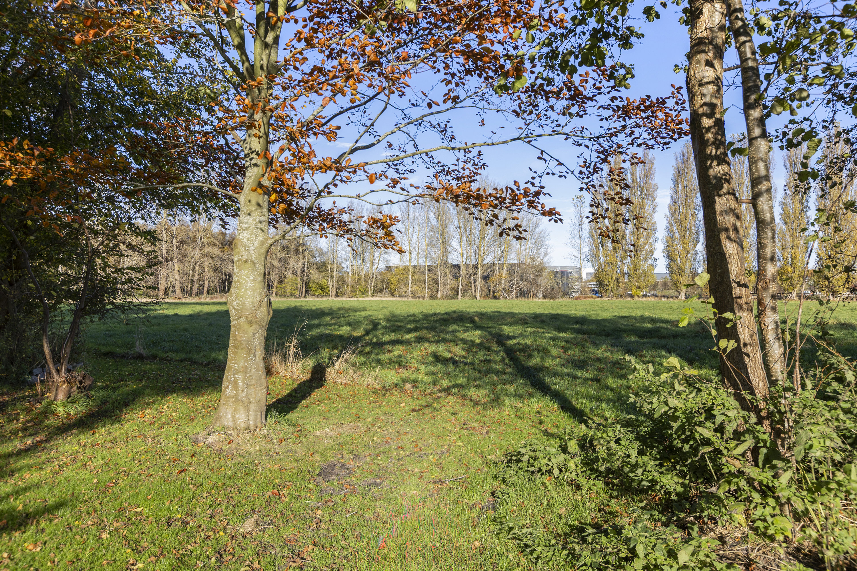 Fremhævet udsigt billede i fuldskærmstilstand. Billede af Slagelsevej 201, 4400 Kalundborg