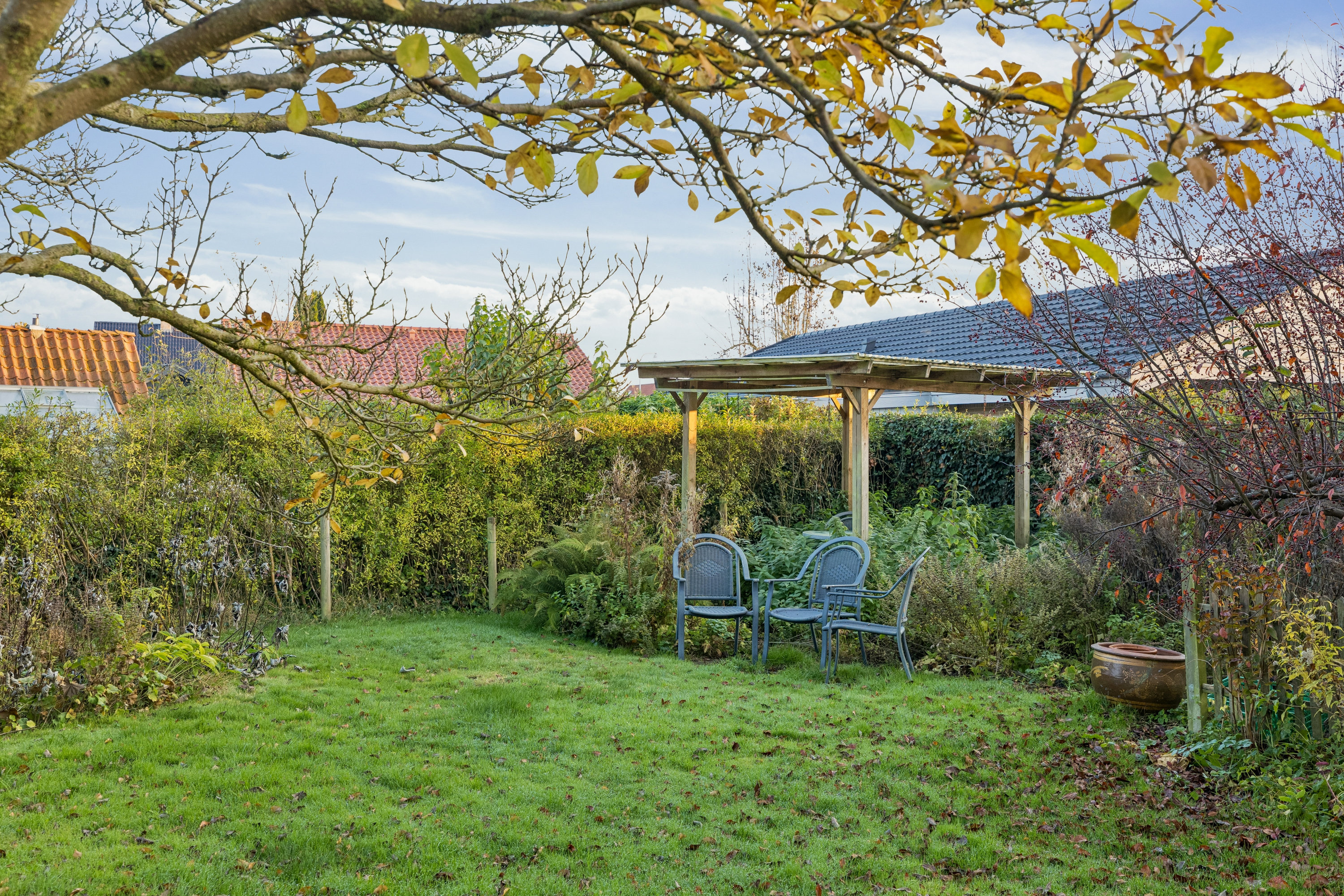 Fremhævet have billede i fuldskærmstilstand. Billede af Granvej 14, 5250 Odense SV