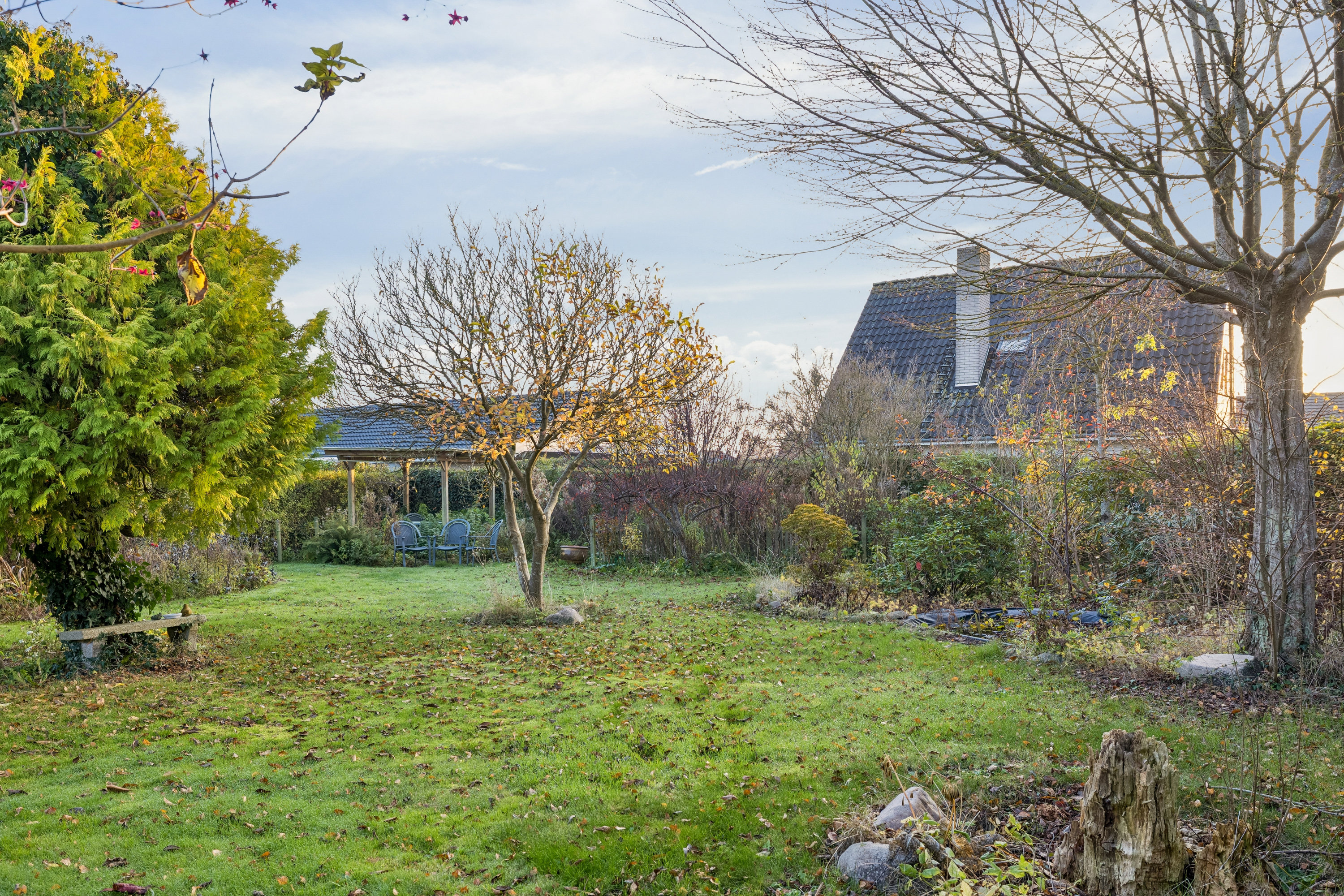 Fremhævet have billede i fuldskærmstilstand. Billede af Granvej 14, 5250 Odense SV