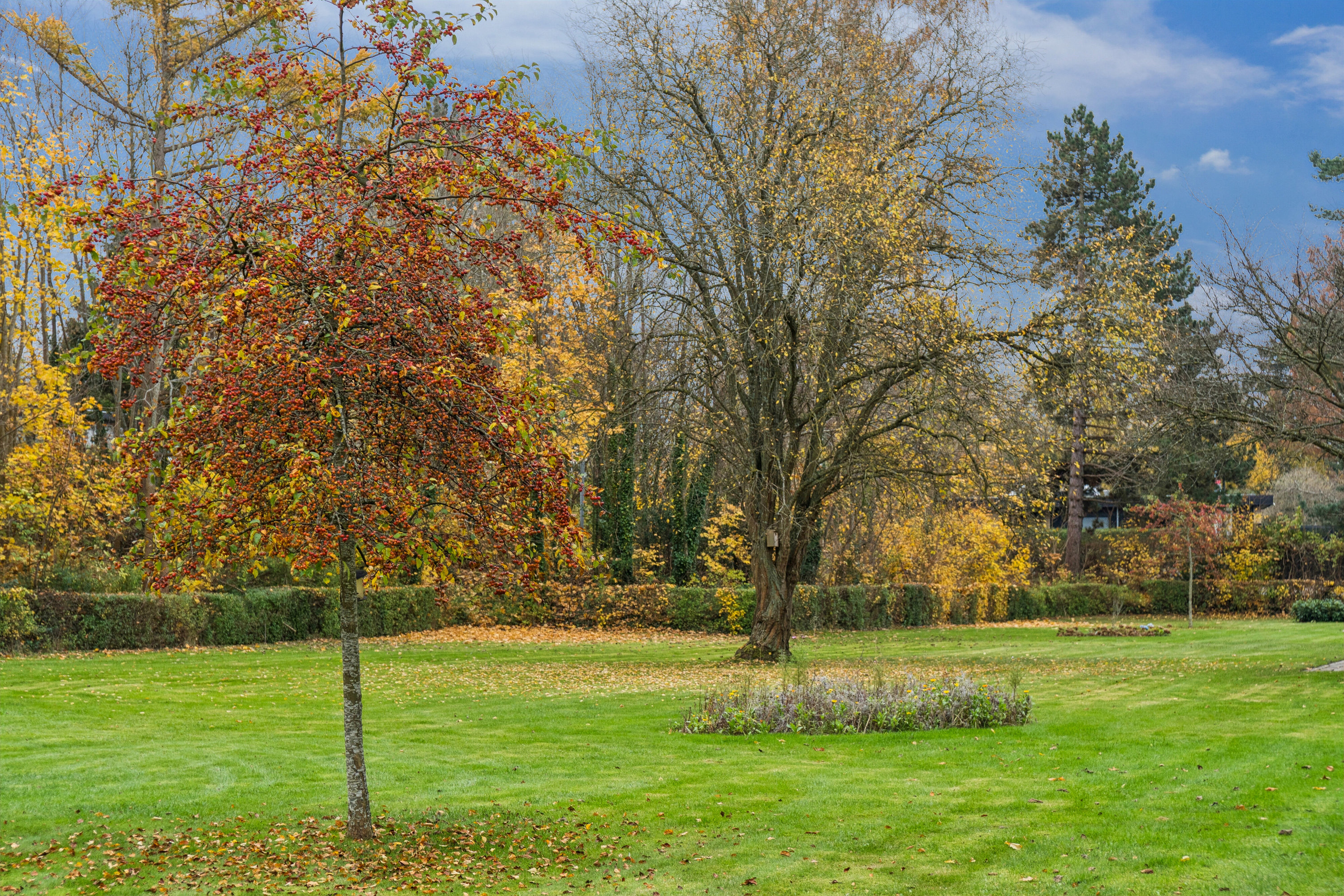 Fremhævet udendørs billede i fuldskærmstilstand. Billede af Hørsholm Park 7, 1. tv., 2970 Hørsholm