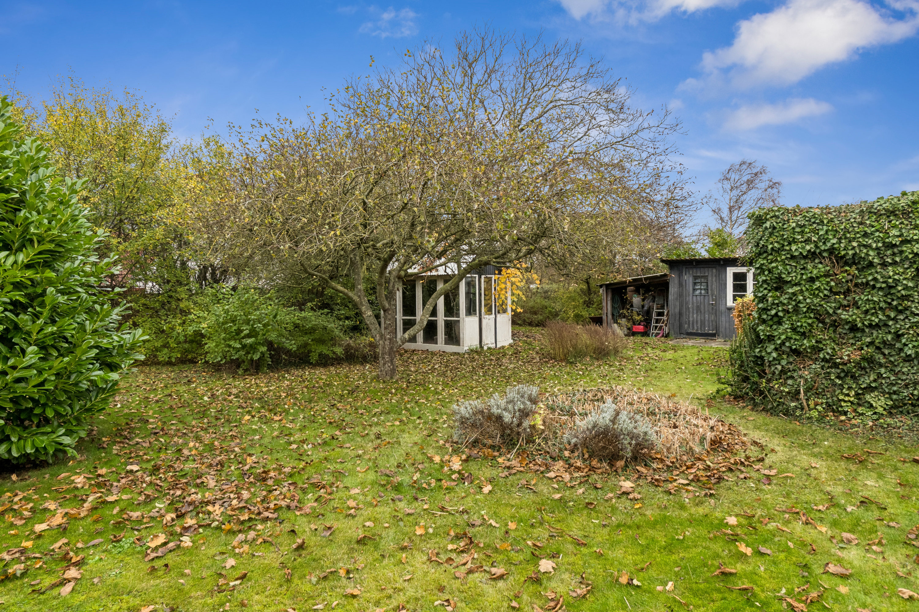 Fremhævet have billede i fuldskærmstilstand. Billede af Sygehusvejen 35A, 5970 Ærøskøbing