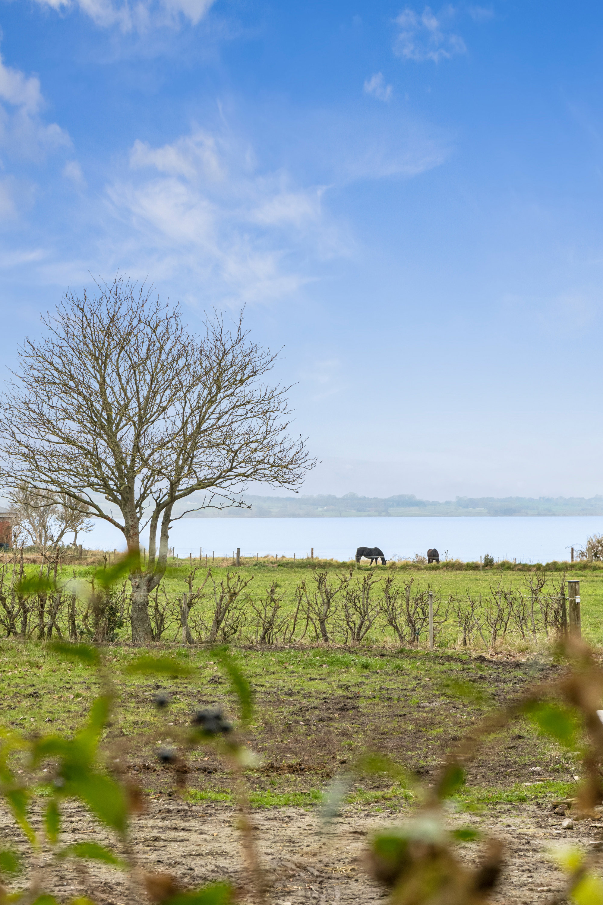Miniaturebillede 1: udsigt. Billede af Sygehusvejen 35A, 5970 Ærøskøbing