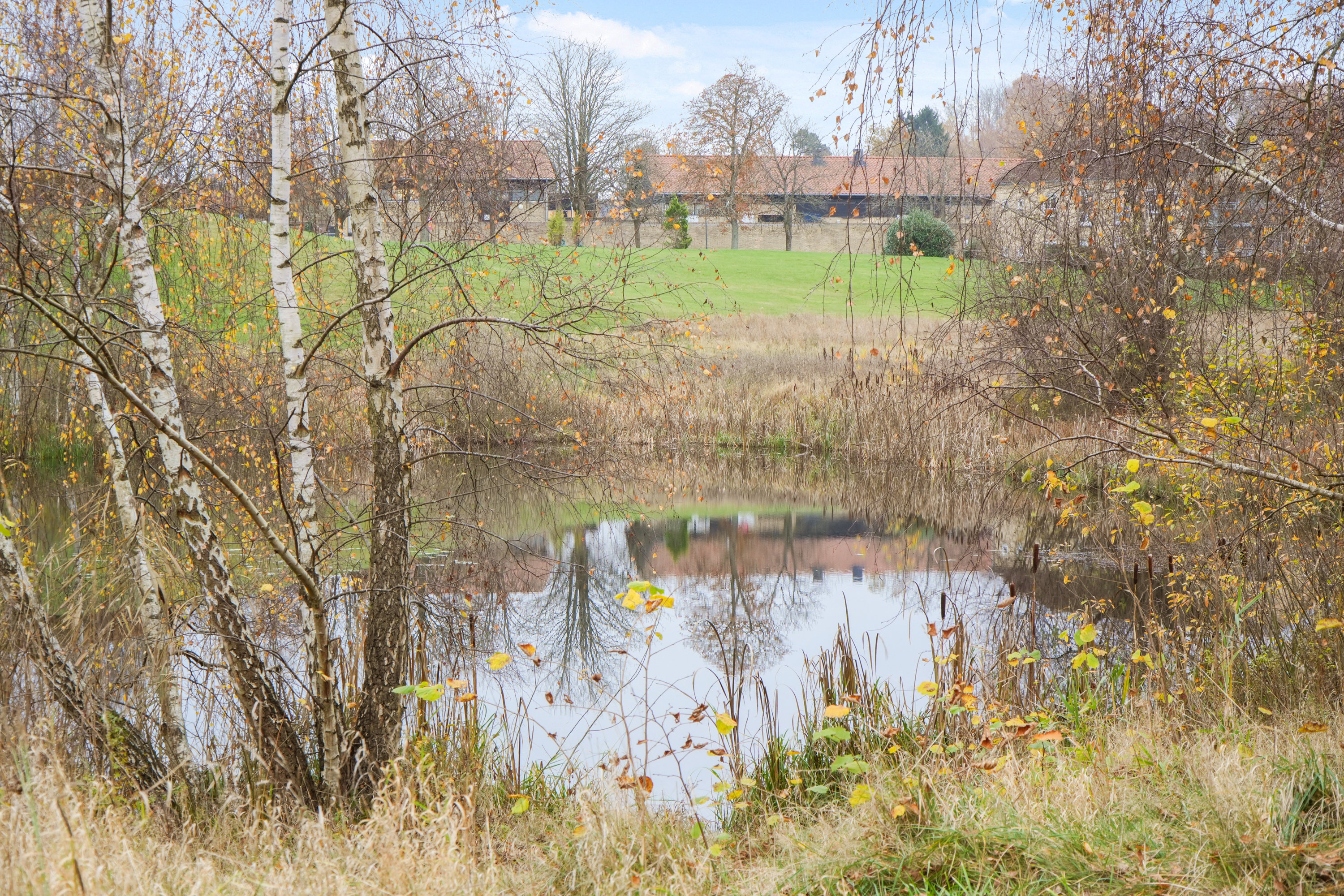 Fremhævet andet billede i fuldskærmstilstand. Billede af Bakkekrogen 19, 1. 2., 3460 Birkerød