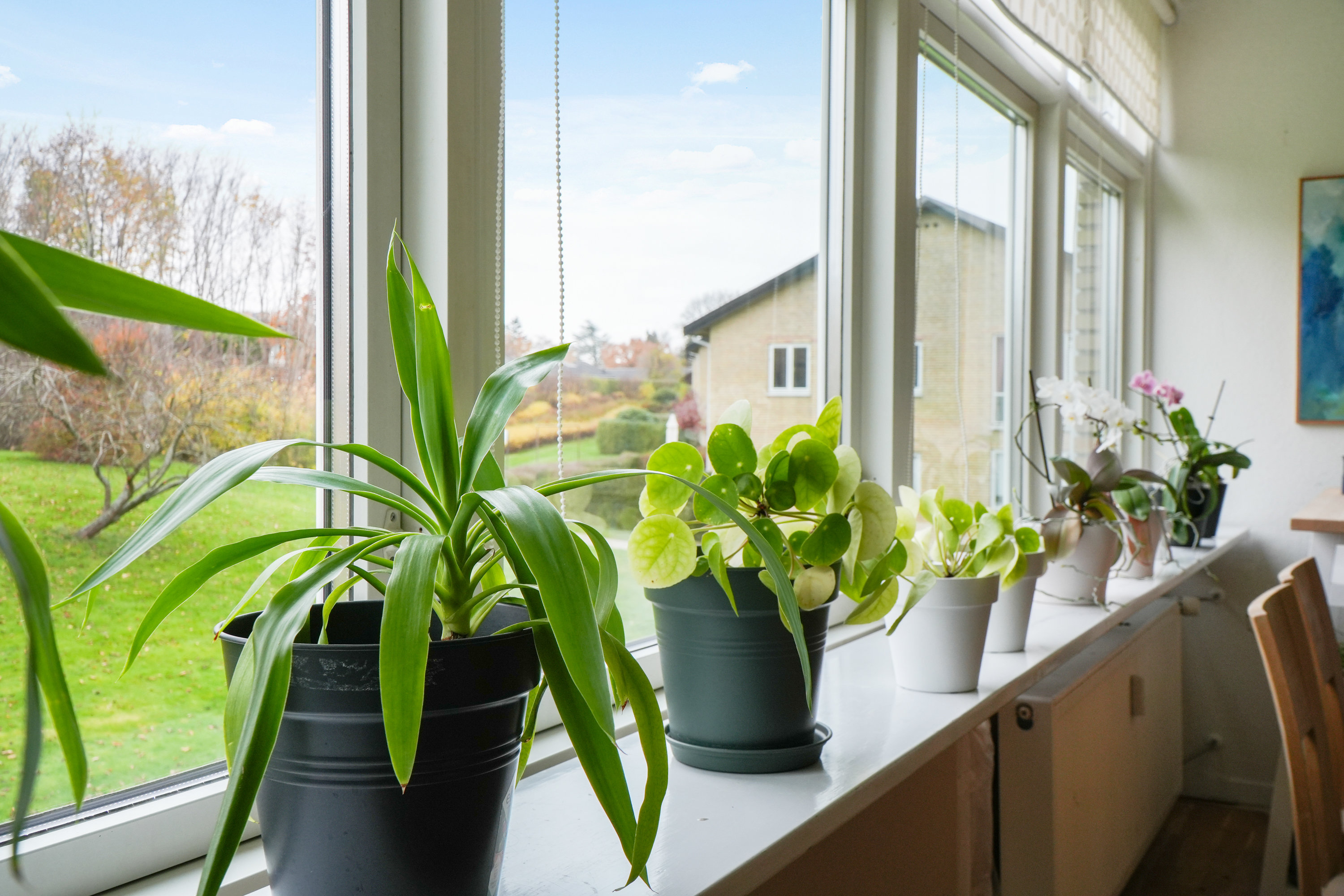 Fremhævet andet billede i fuldskærmstilstand. Billede af Bakkekrogen 19, 1. 2., 3460 Birkerød