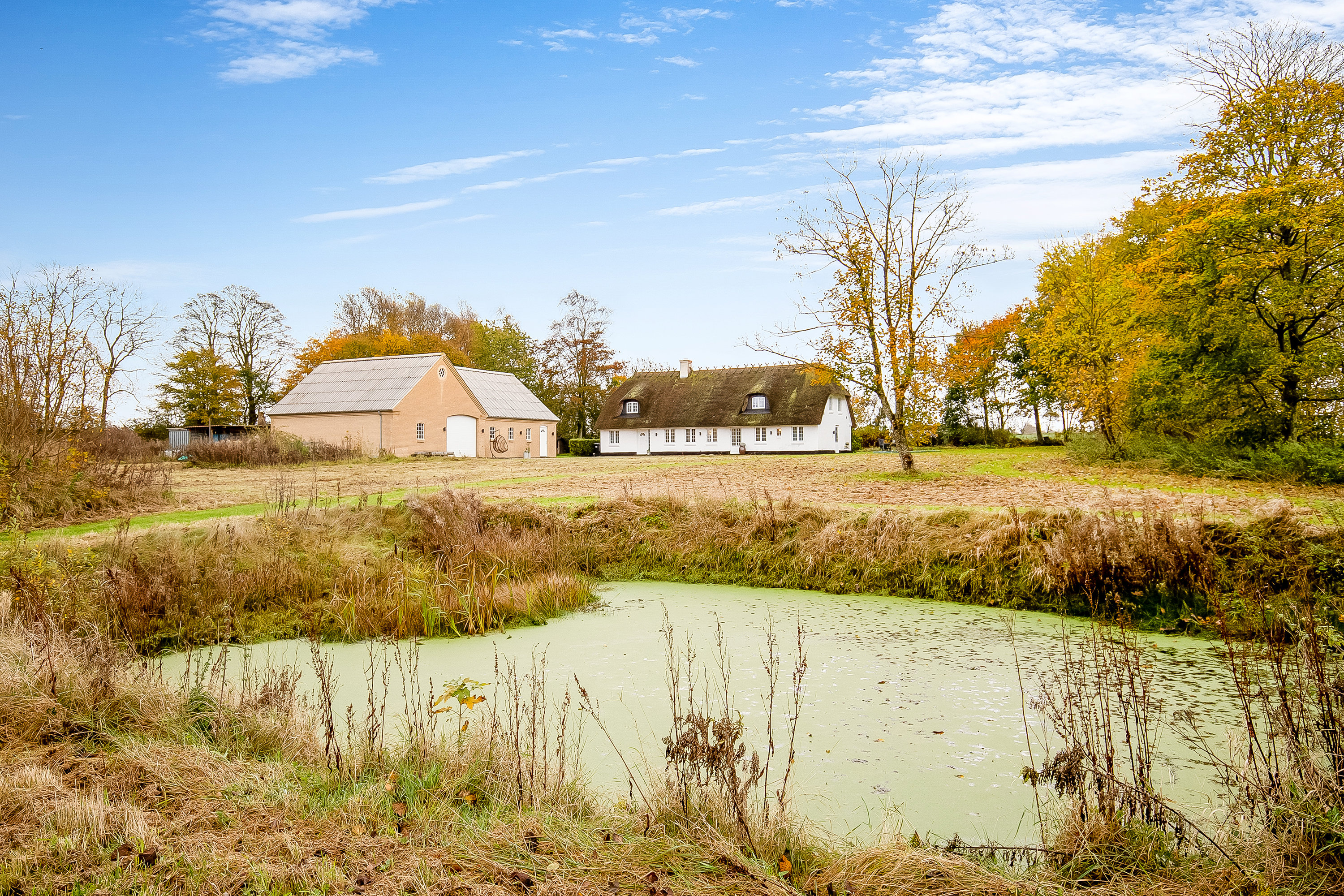 Fremhævet have billede i fuldskærmstilstand. Billede af Søndermarksvej 6, Starup, 6040 Egtved